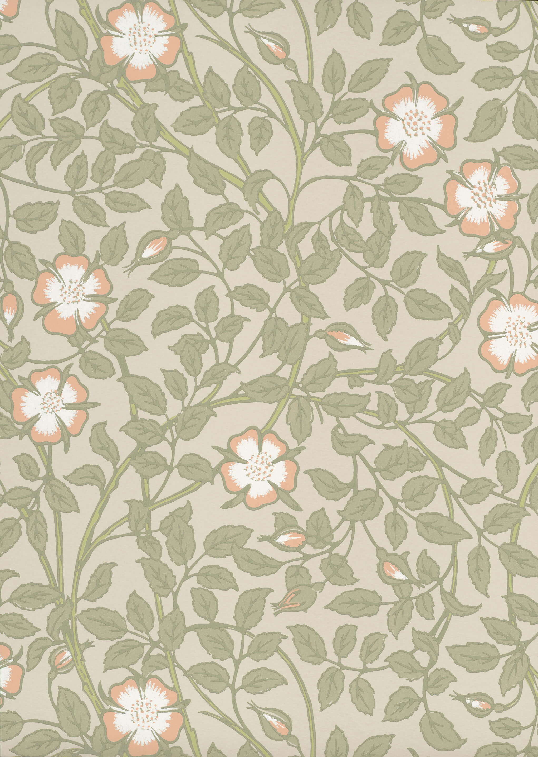 Little Green National Trust III Briar Rose Green Mist Behang