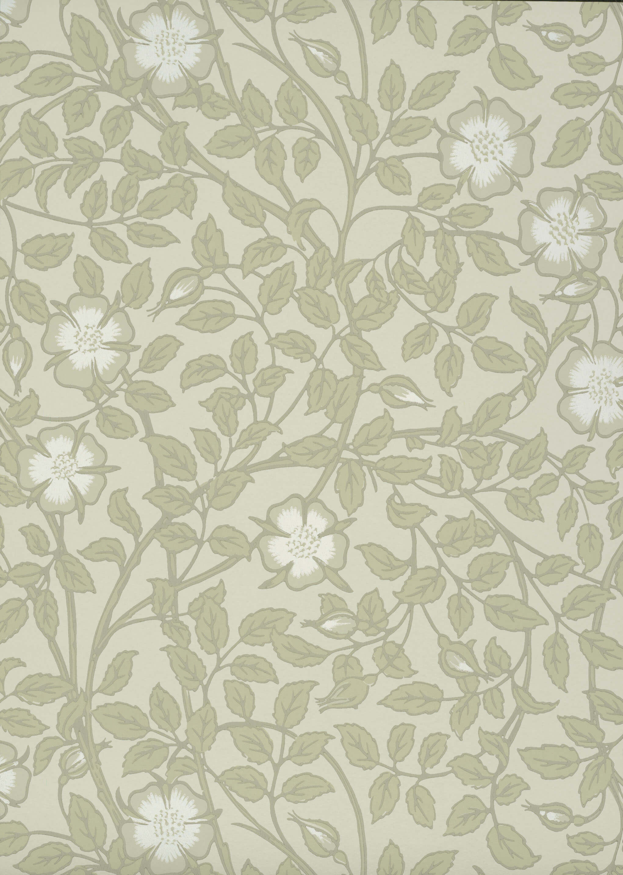 Little Green National Trust III Briar Rose Green Stone Behang