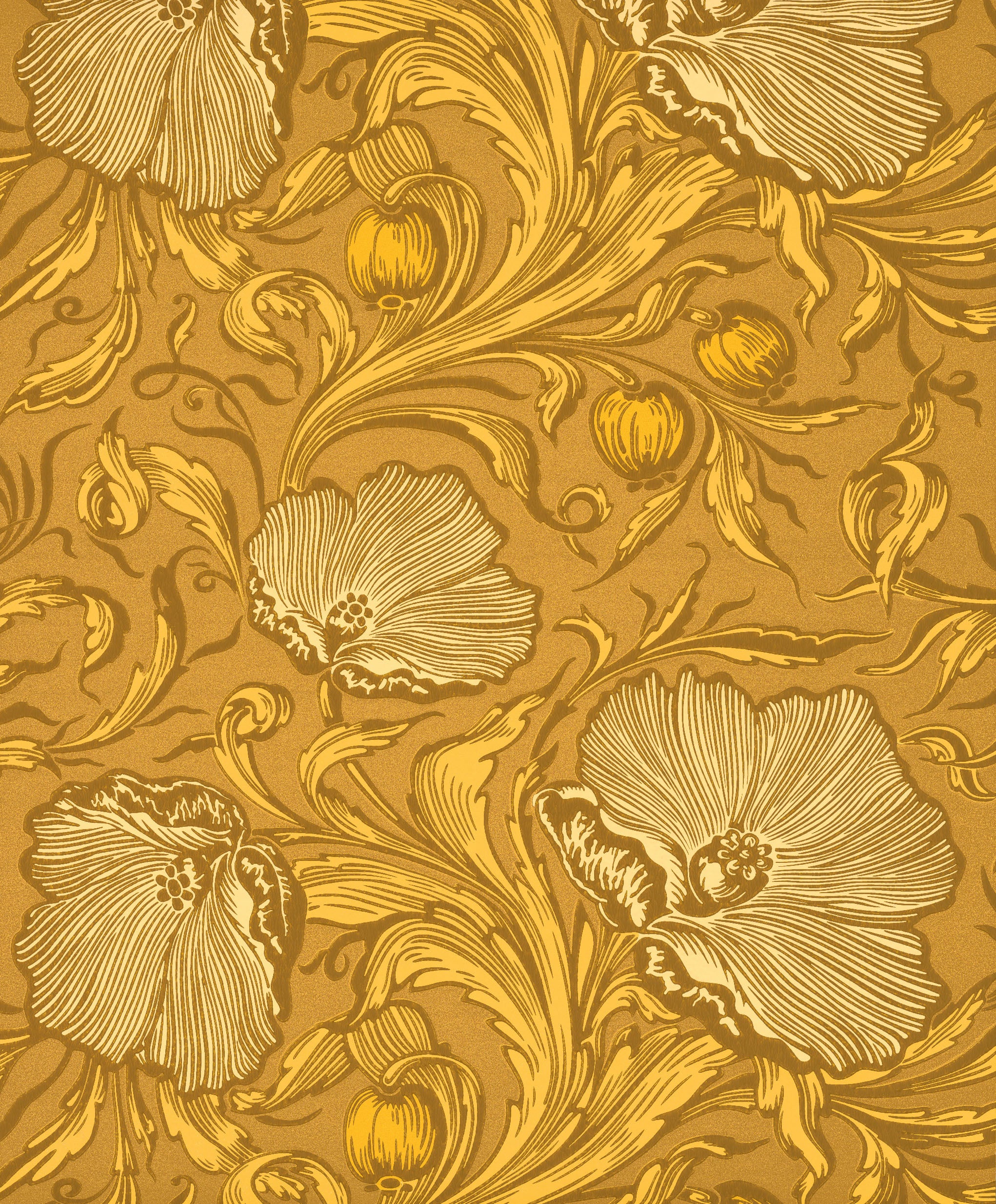 Little Green National Trust III Poppy Trail Yellow Pink Behang