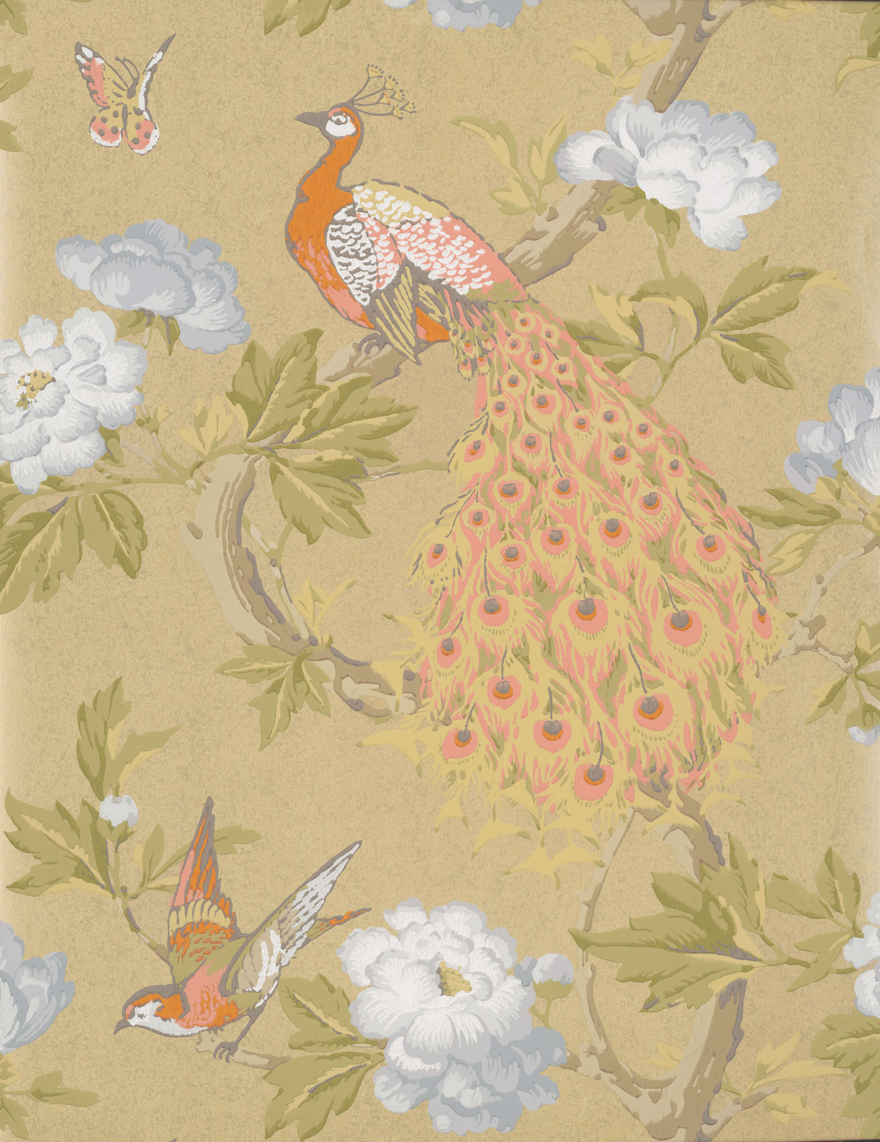 Little Green National Trust Papers Pavona Gina Behang