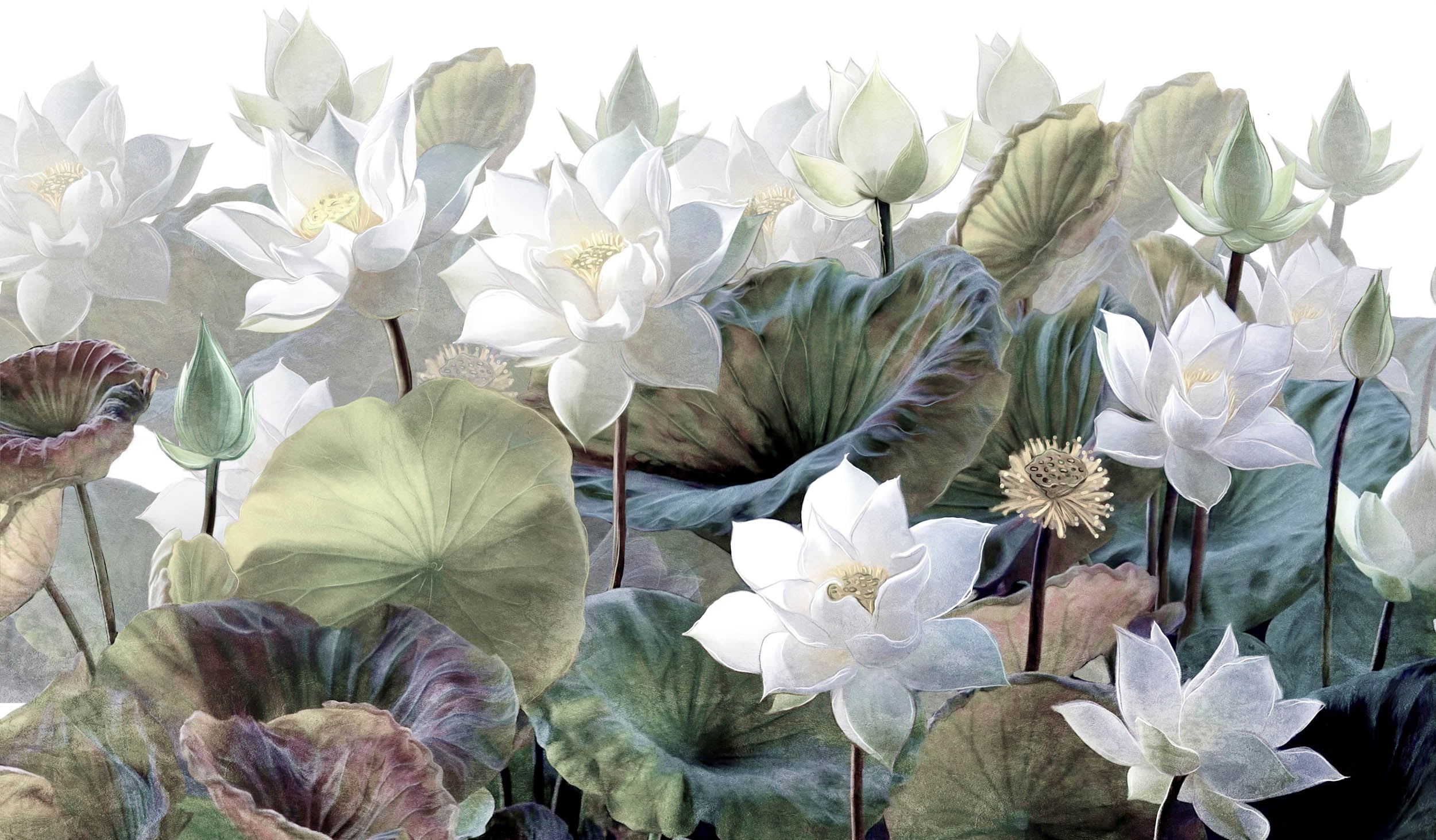 Lotusbloemen Tuin - LW00822