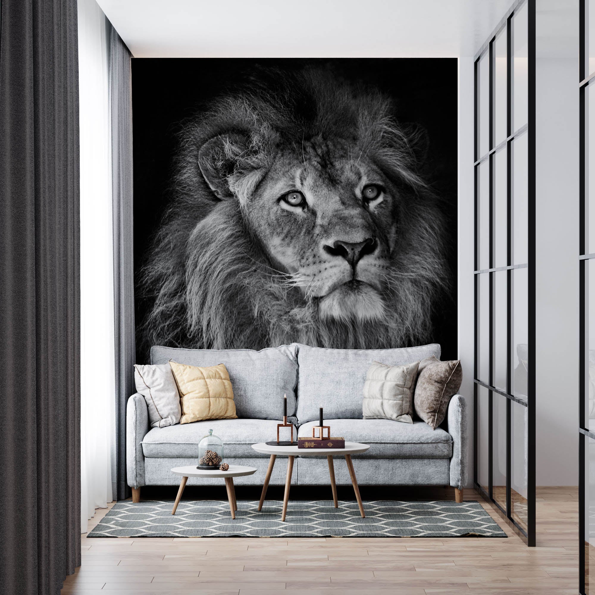 Mannetjesleeuw met manen - LW00212 Fotobehang