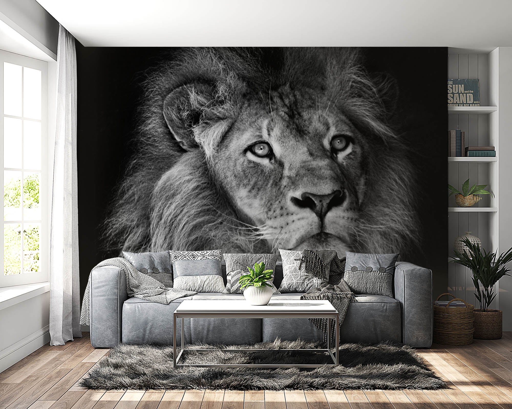 Mannetjesleeuw met manen - LW00212 Fotobehang