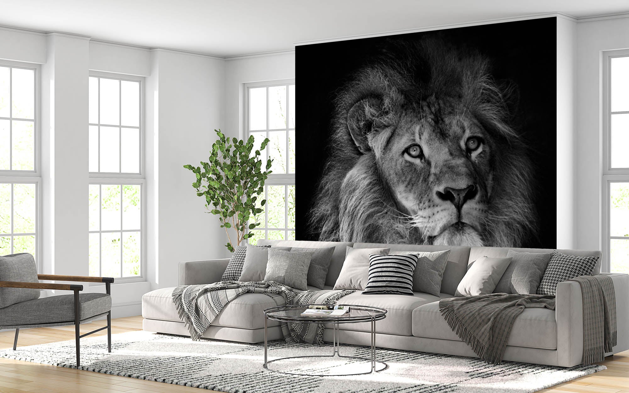 Mannetjesleeuw met manen - LW00212 Fotobehang