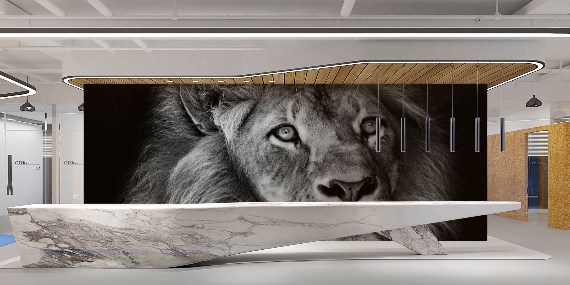 Mannetjesleeuw met manen - LW00212 Fotobehang