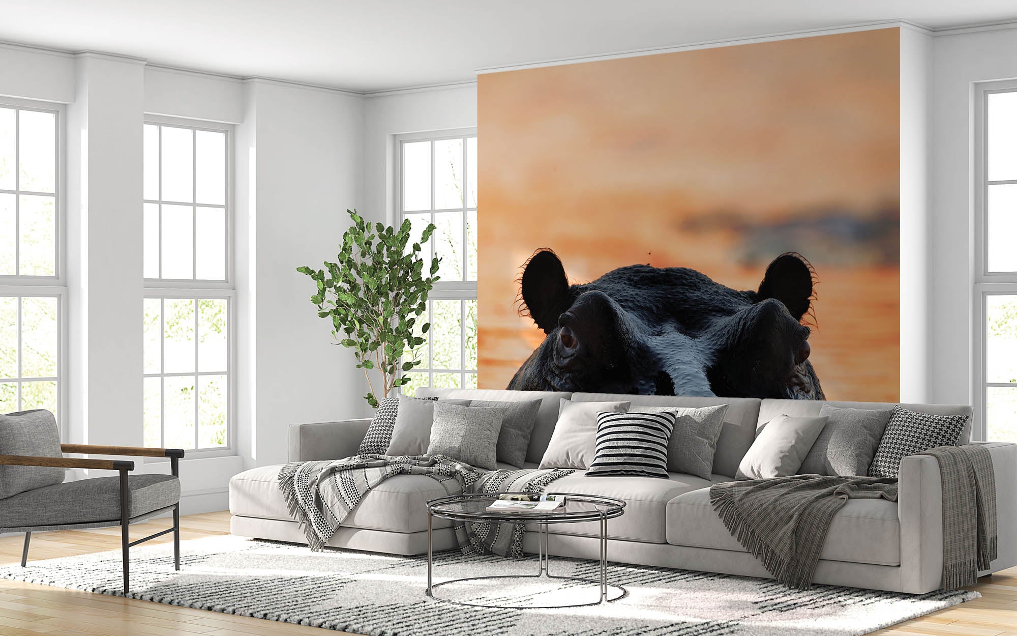 Nijlpaard - LW00150 Fotobehang