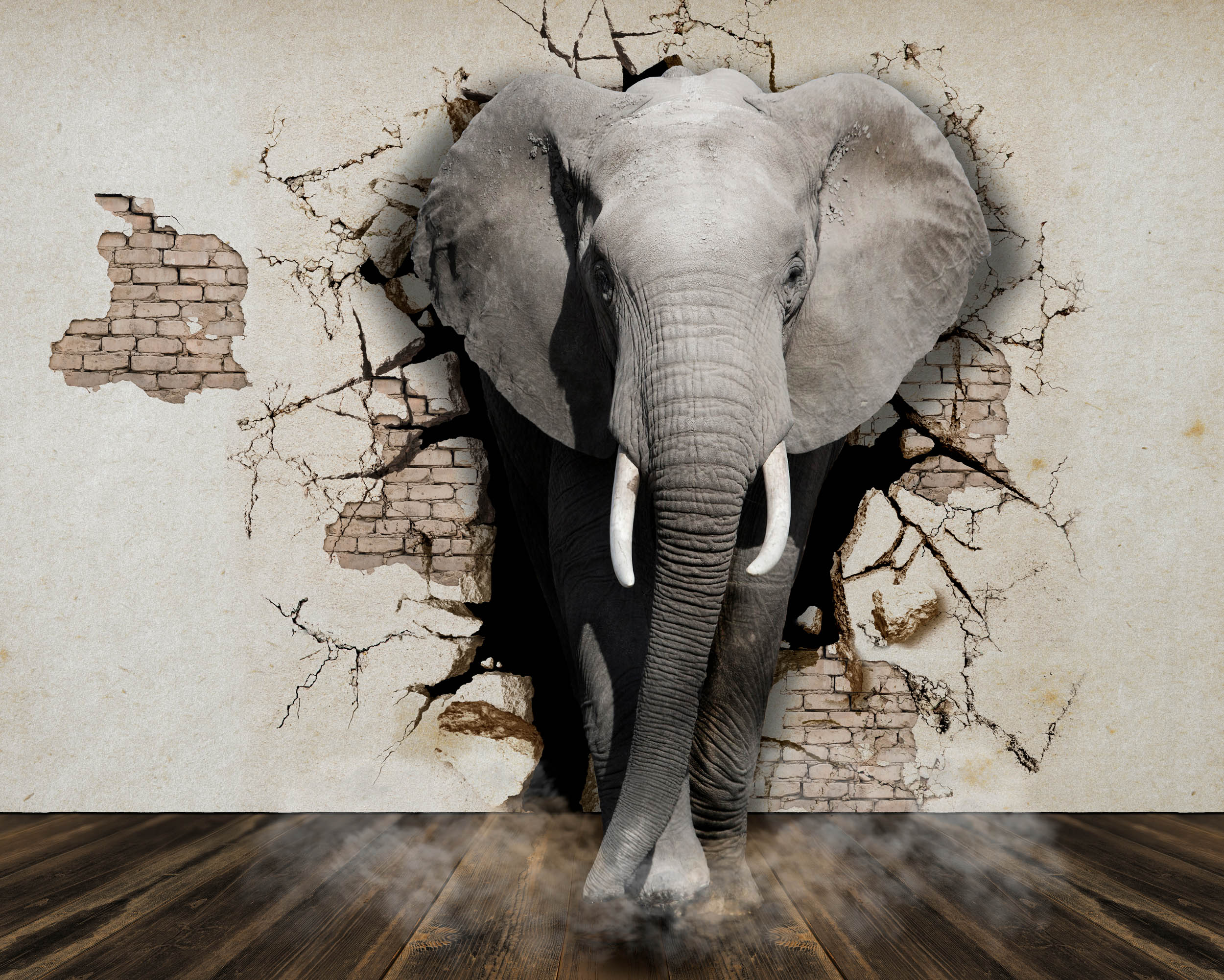 Olifant Door De Muur - LW00545