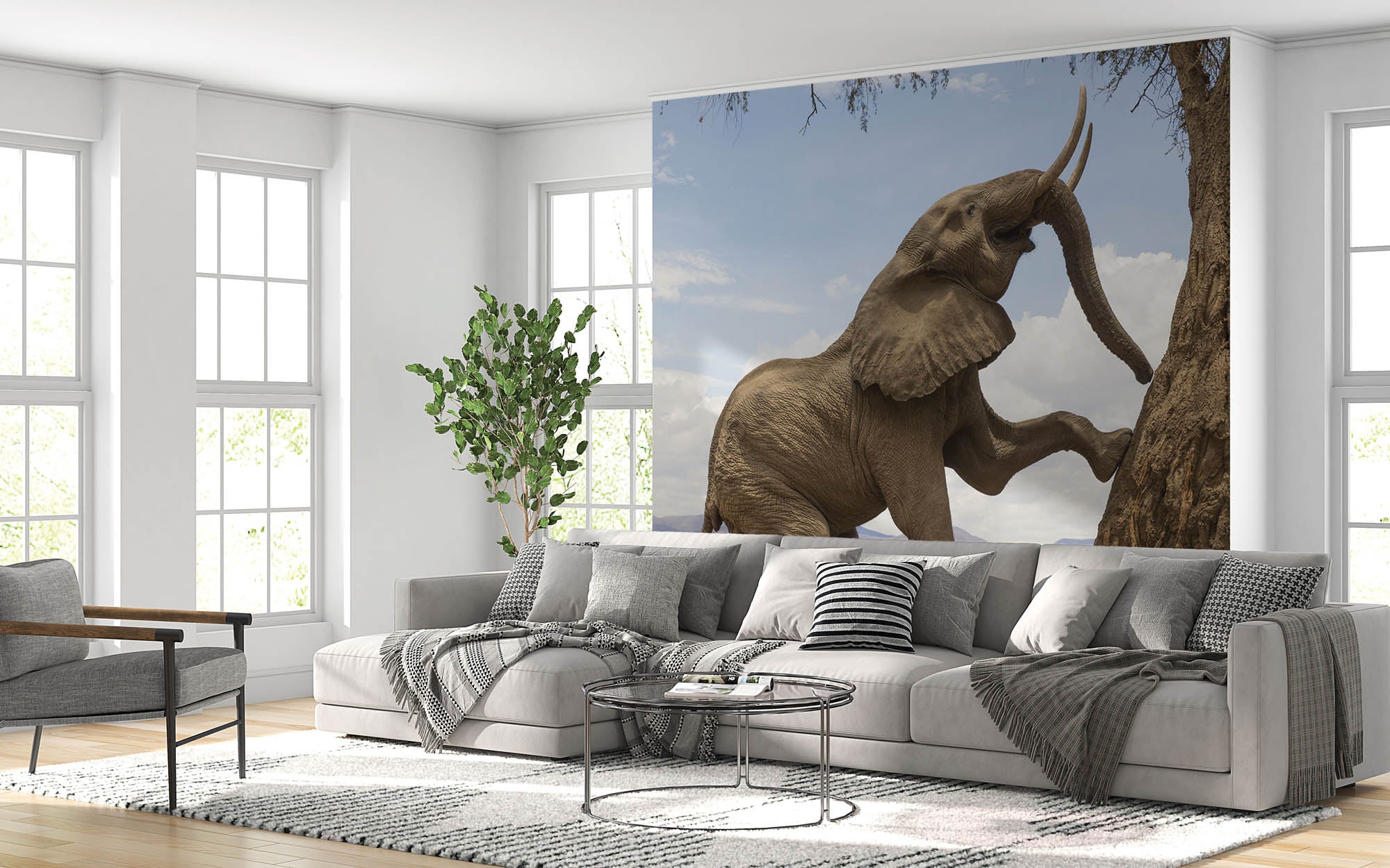 Olifant klimmend tegen boom - LW00165 Fotobehang