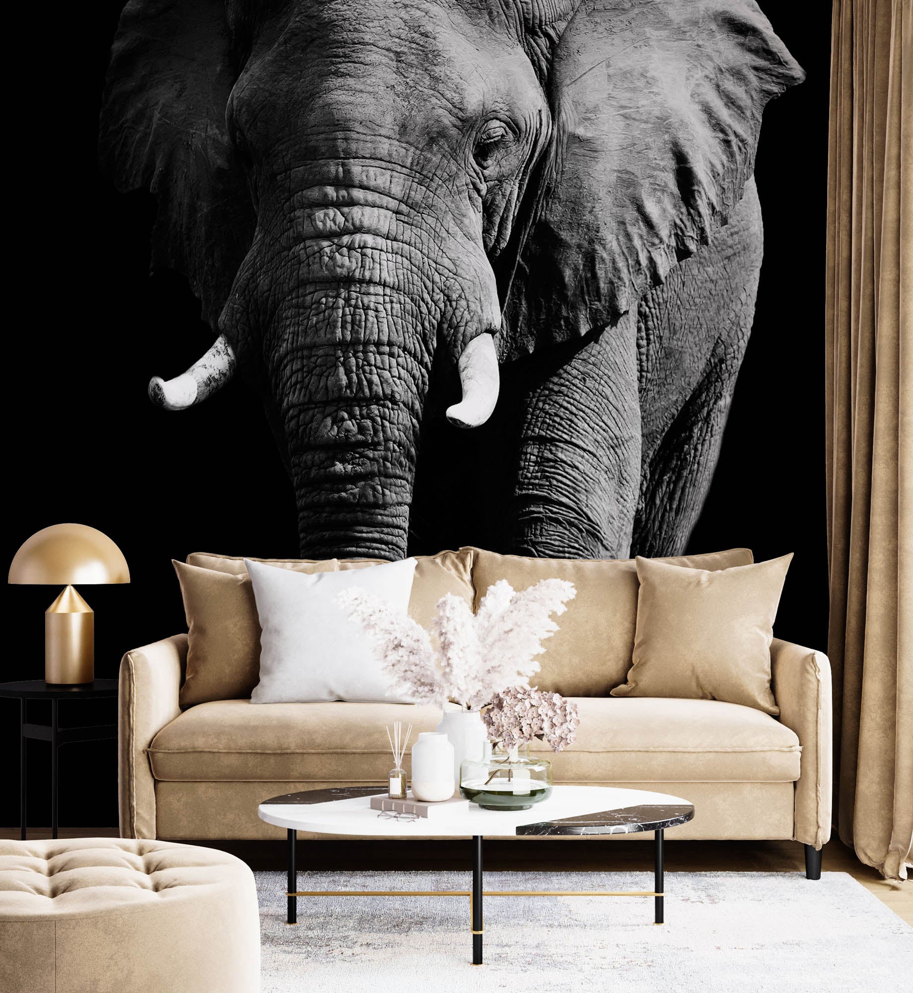 Olifant op zwarte achtergrond - LW00202 Fotobehang