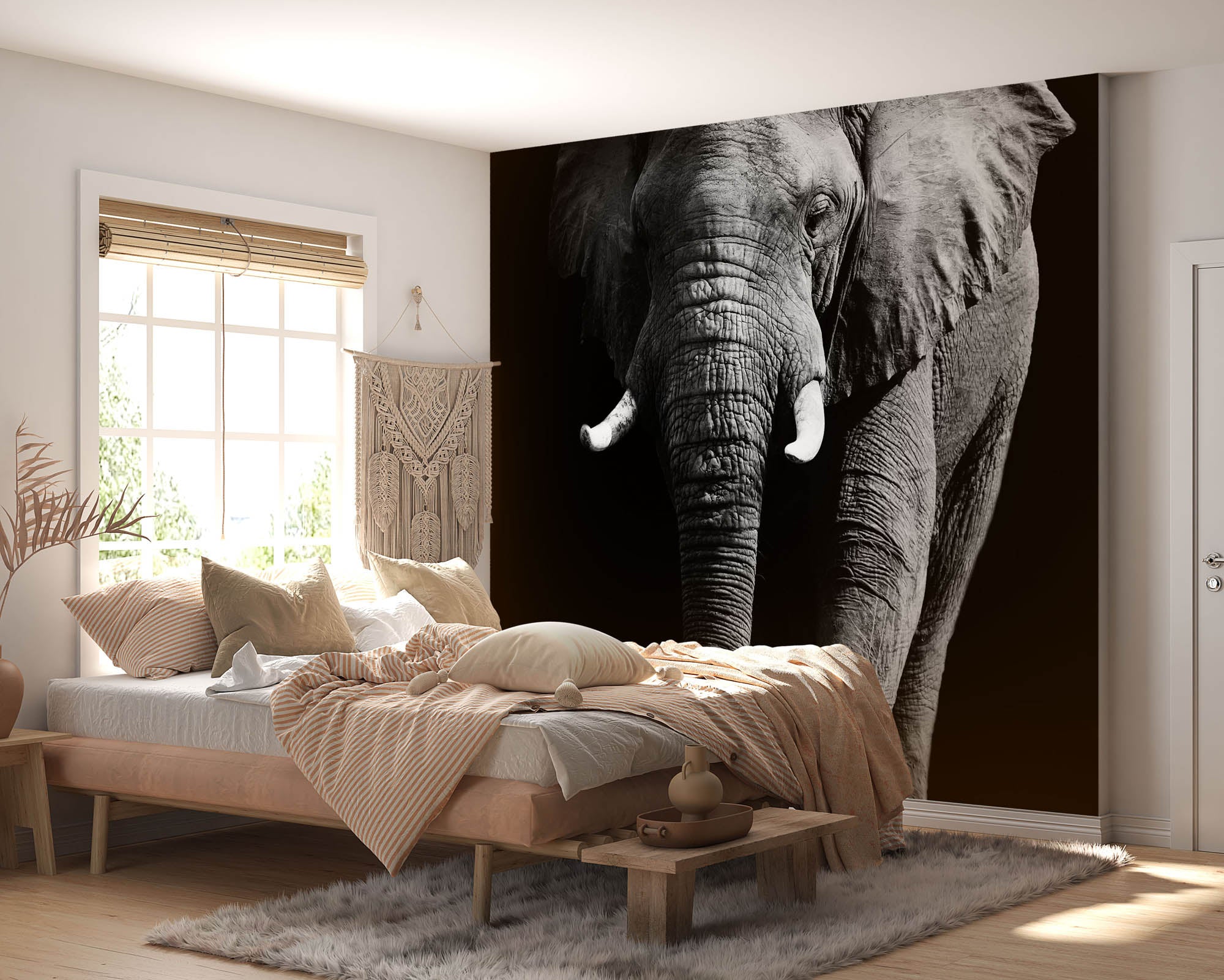 Olifant op zwarte achtergrond - LW00202 Fotobehang