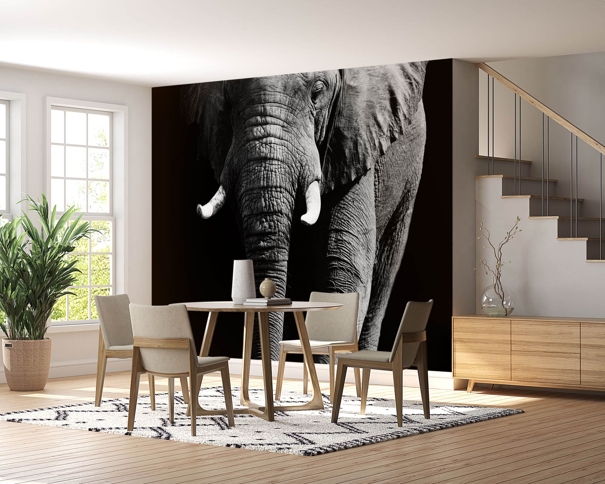Olifant op zwarte achtergrond - LW00202 Fotobehang