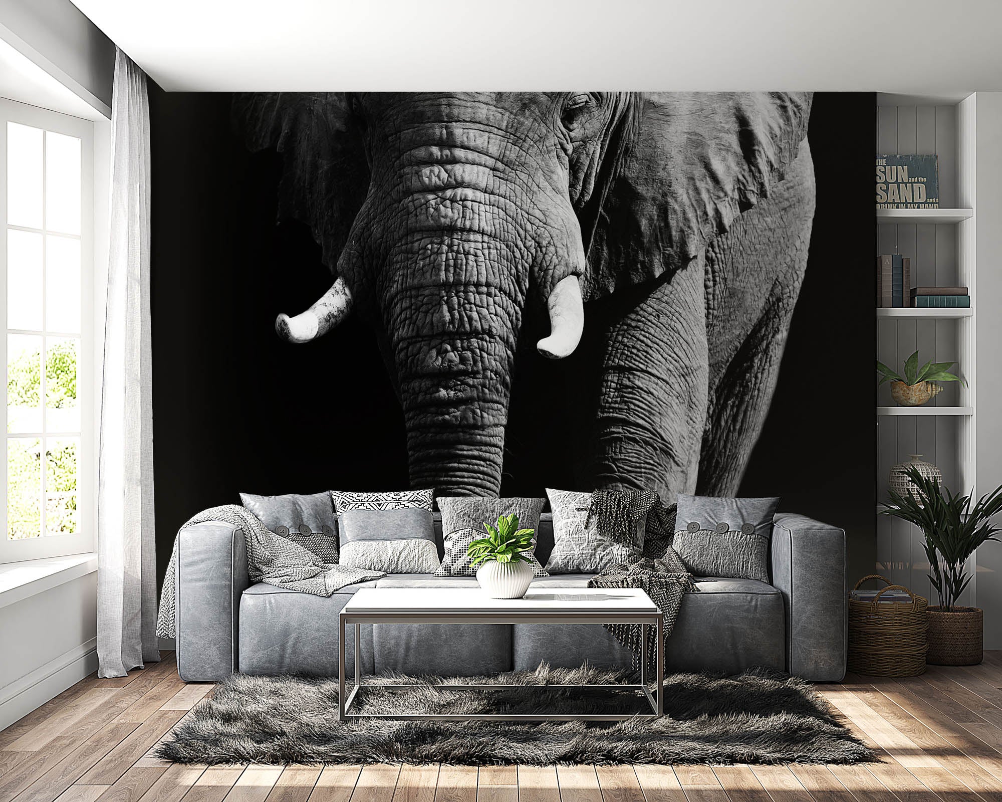Olifant op zwarte achtergrond - LW00202 Fotobehang