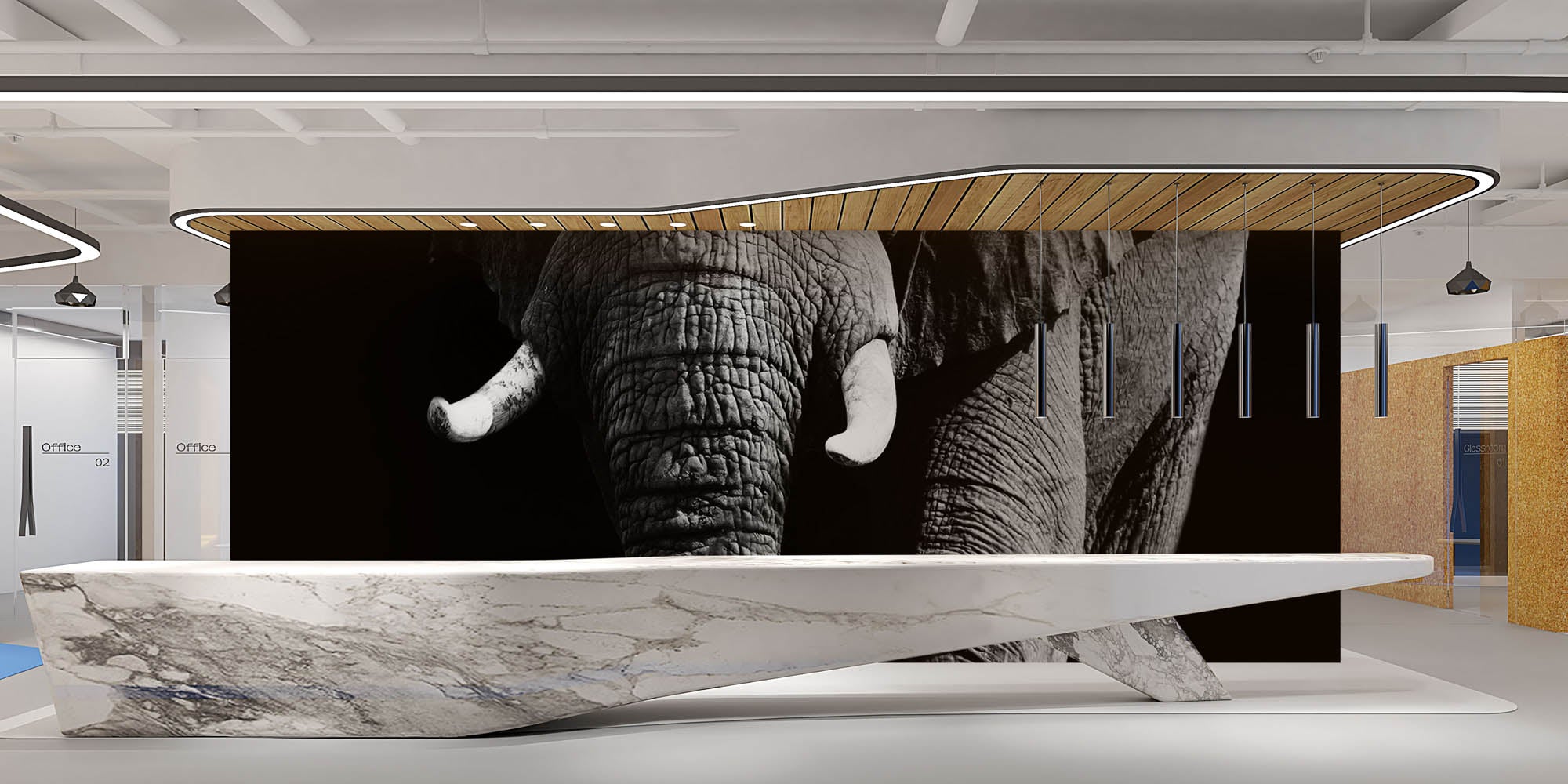 Olifant op zwarte achtergrond - LW00202 Fotobehang