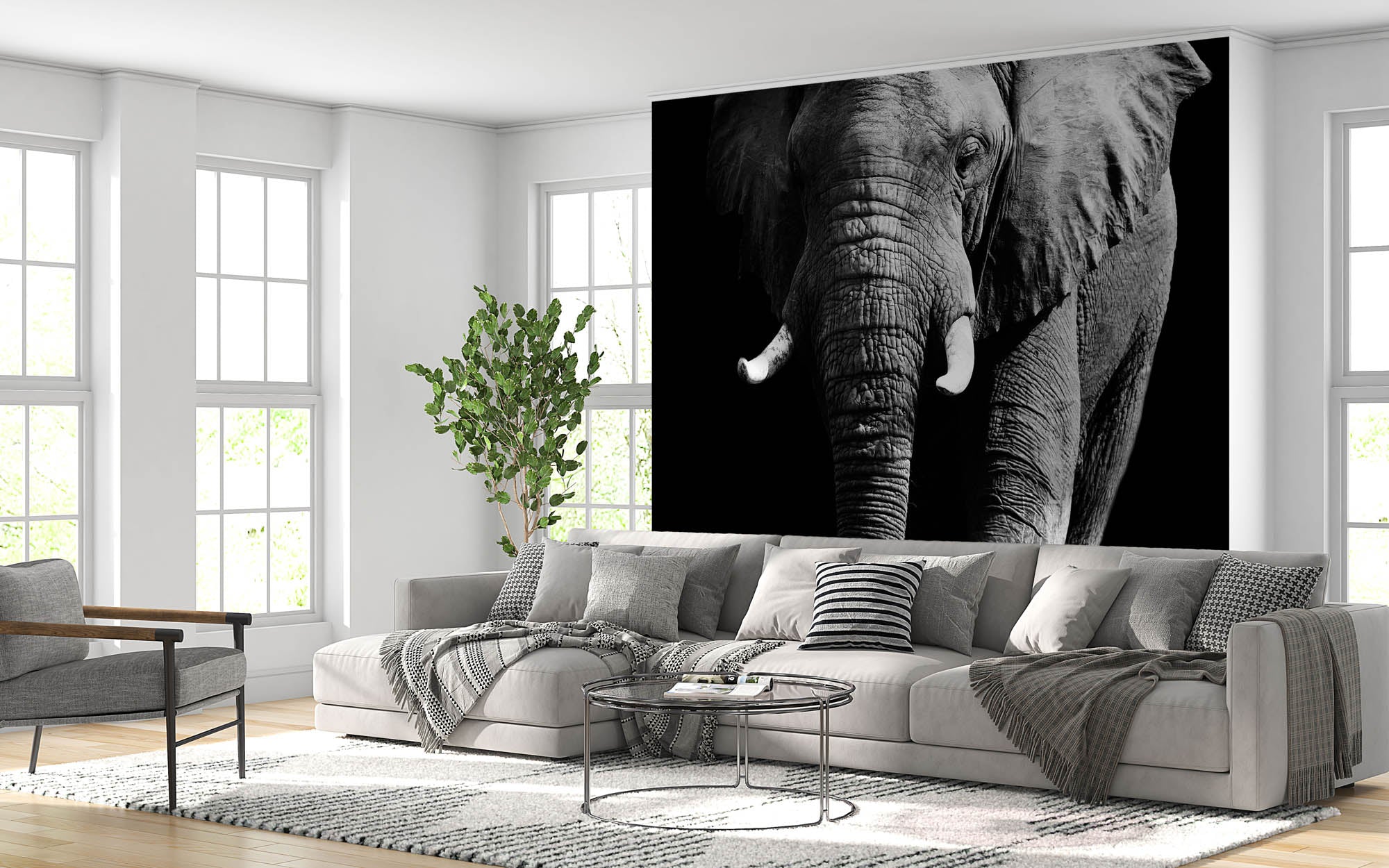 Olifant op zwarte achtergrond - LW00202 Fotobehang
