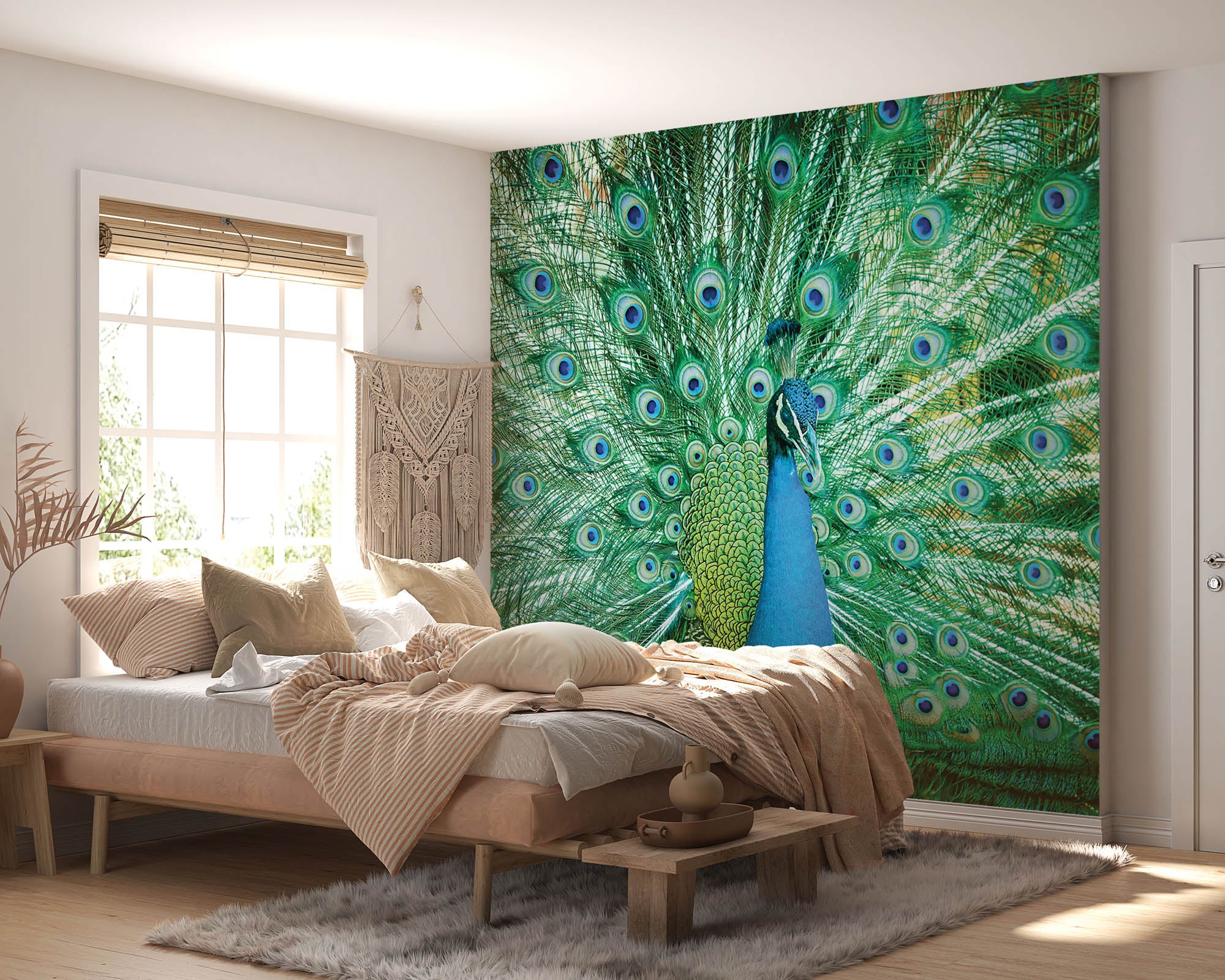 Pauw - LW00156 Fotobehang