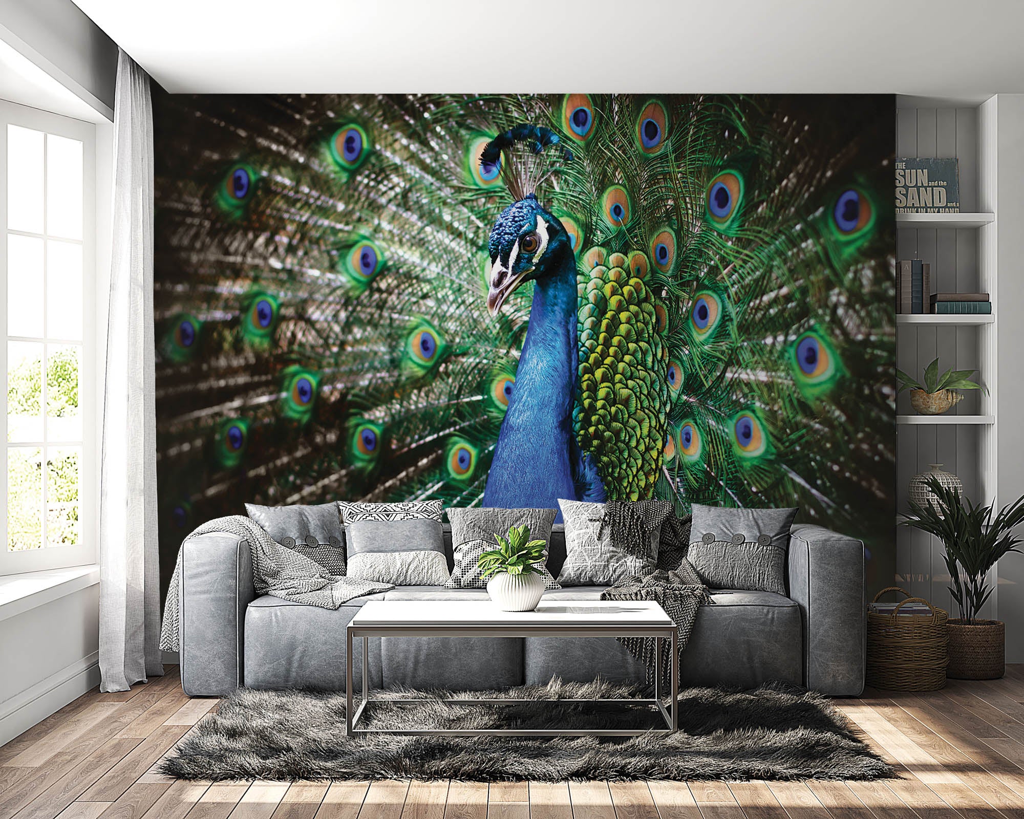 Pauw met veren - LW00152 Fotobehang