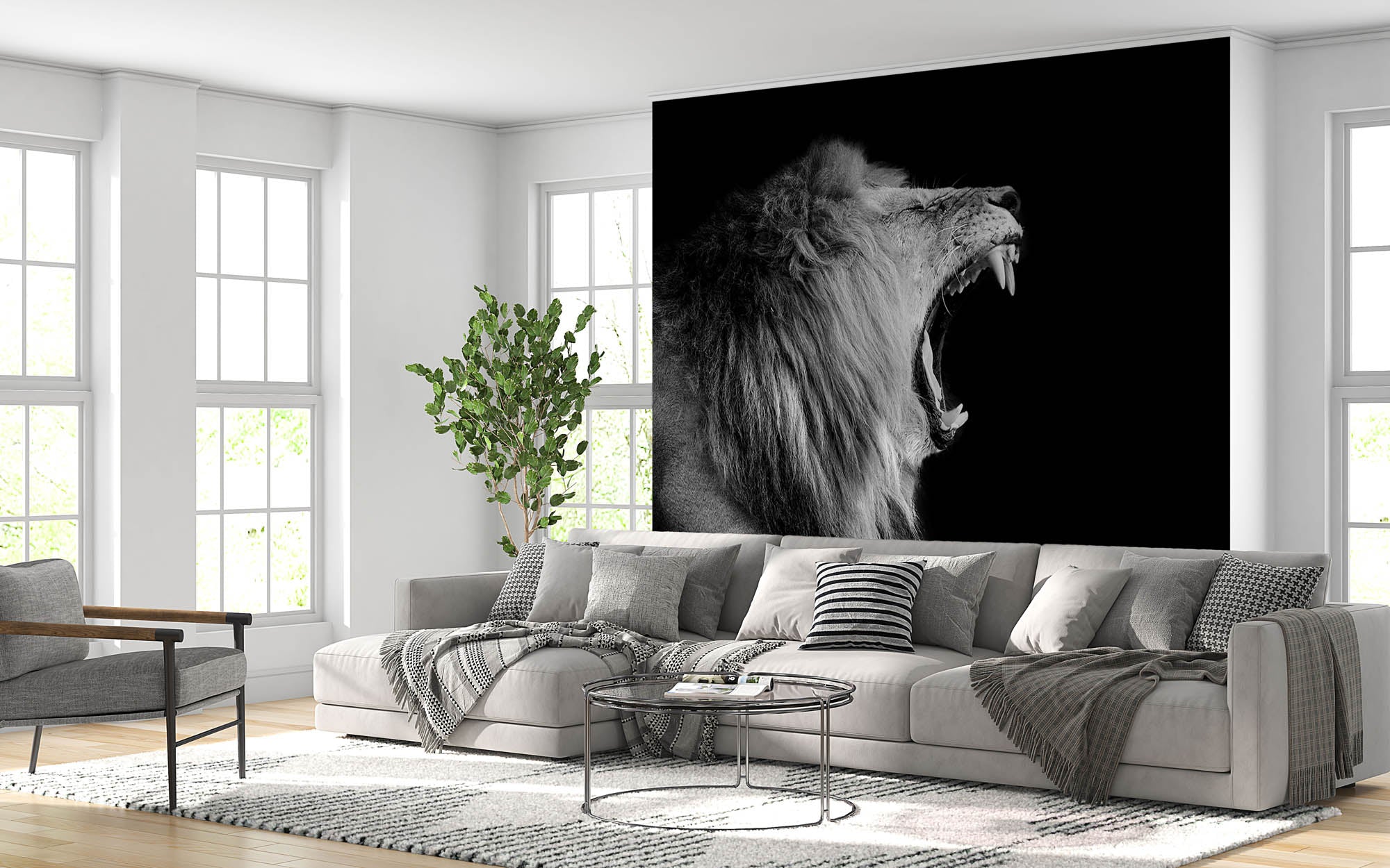 Portret leeuw - LW00225 Fotobehang