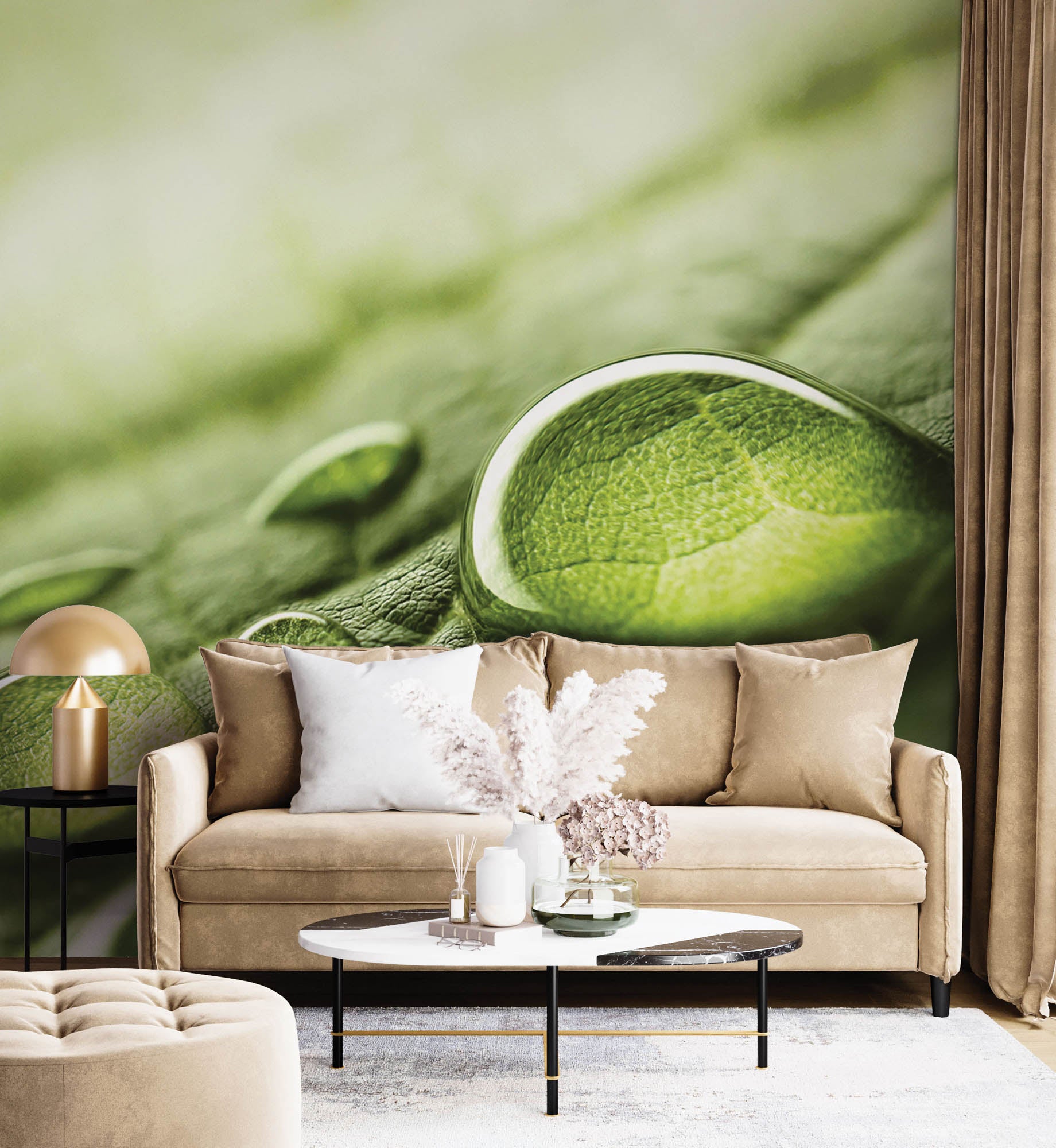 Regendruppels op groen blad - LW00280 Fotobehang