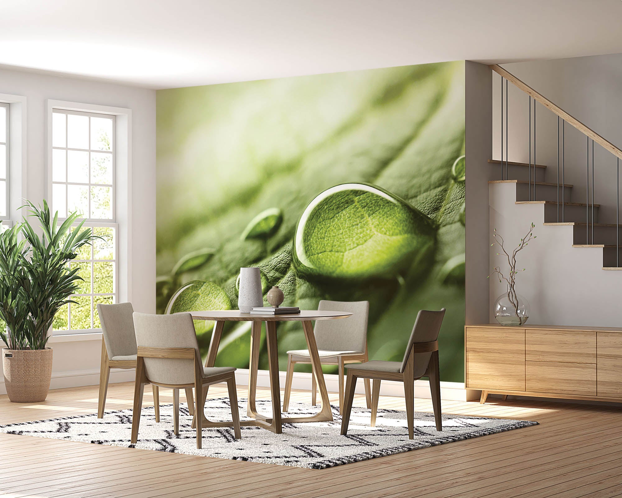 Regendruppels op groen blad - LW00280 Fotobehang