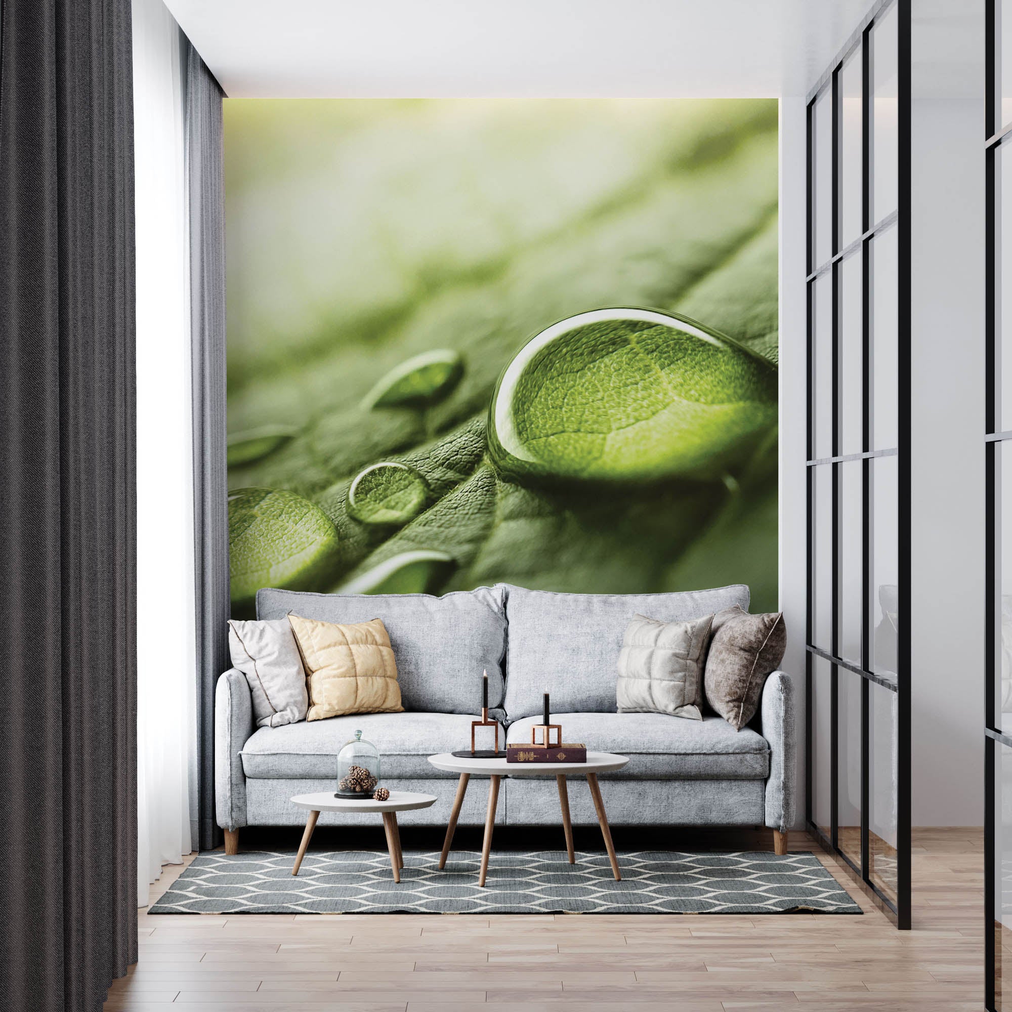 Regendruppels op groen blad - LW00280 Fotobehang