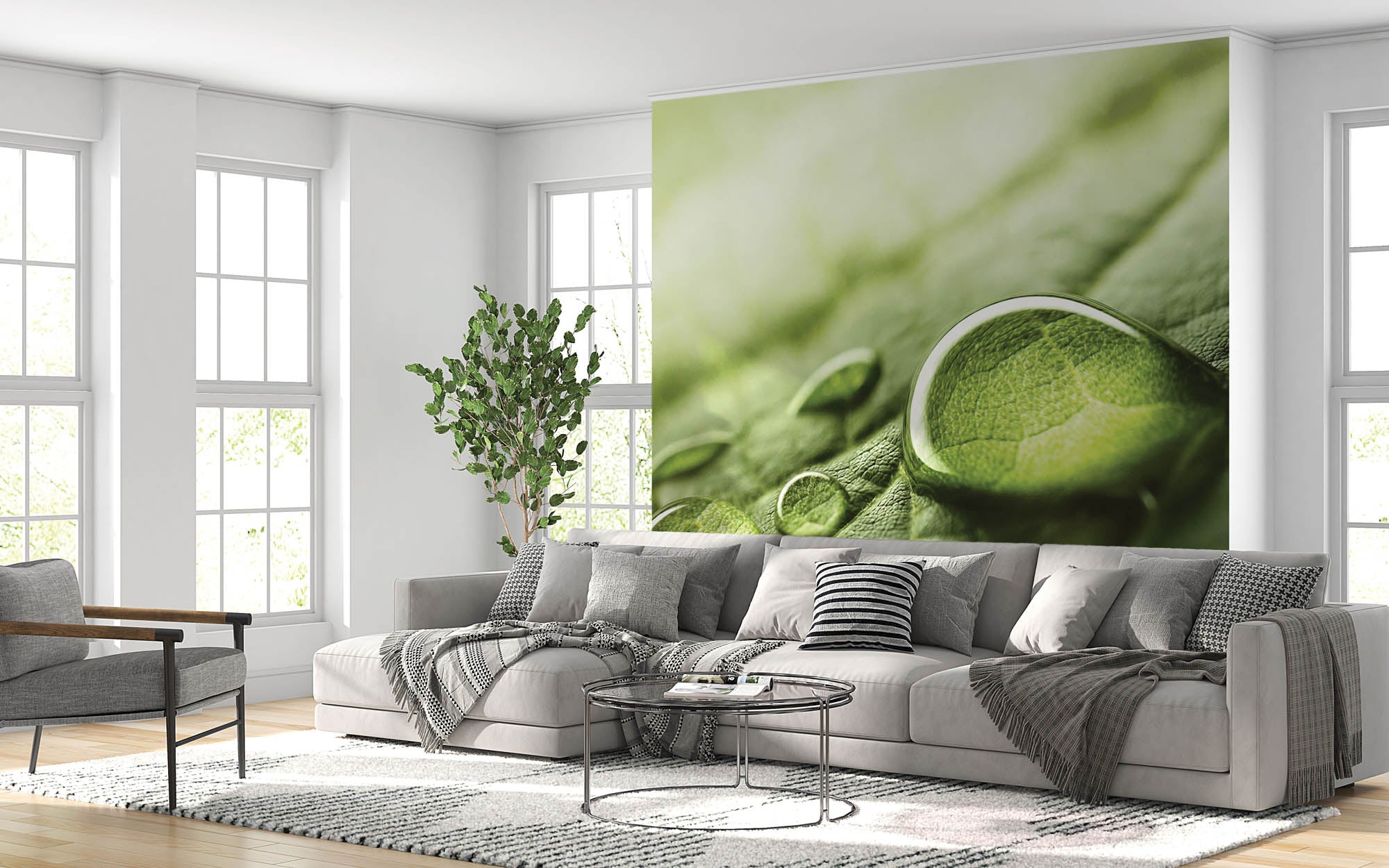 Regendruppels op groen blad - LW00280 Fotobehang