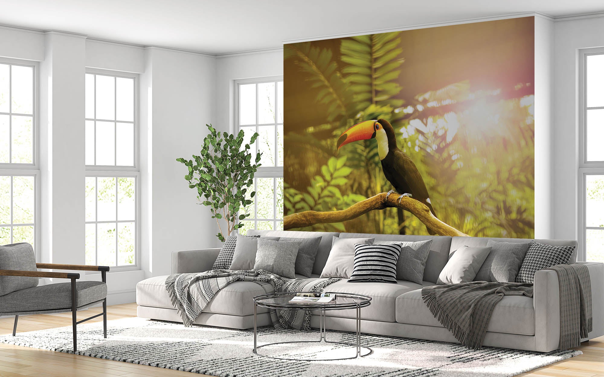 Reuzentoekan op tak  - LW00171 Fotobehang