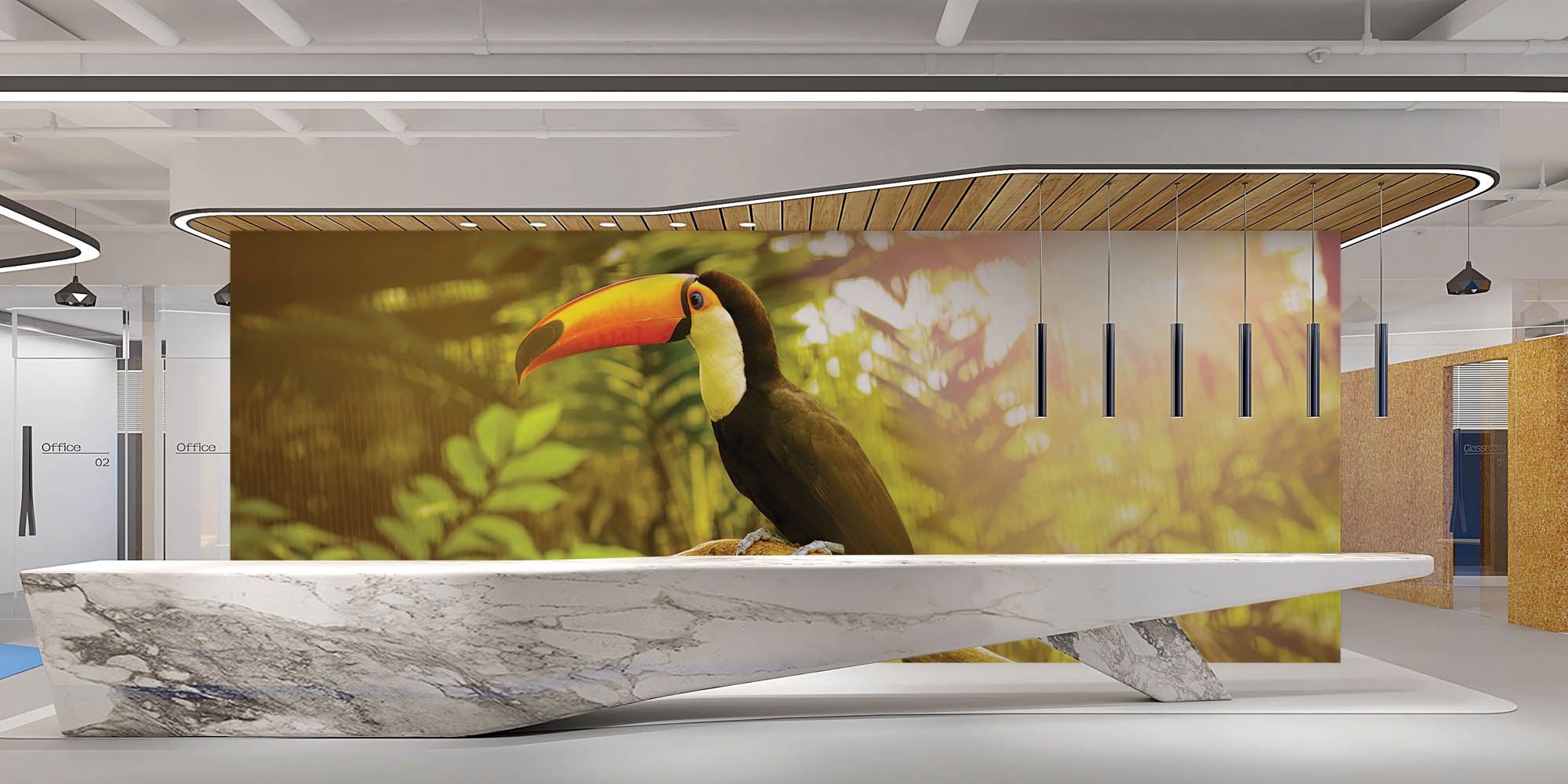 Reuzentoekan op tak  - LW00171 Fotobehang