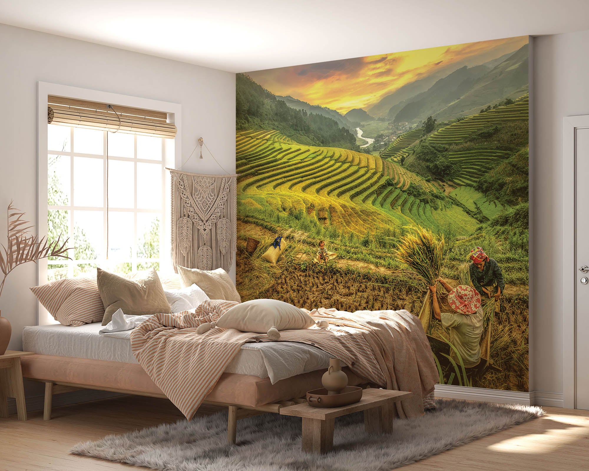 Rijstvelden - LW00073 Fotobehang