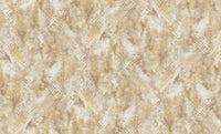 Roberto Cavalli 9 - Dessin Beige - 21056