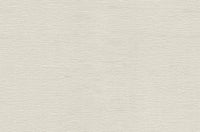 Roberto Cavalli 9 - Uni Beige - 21084