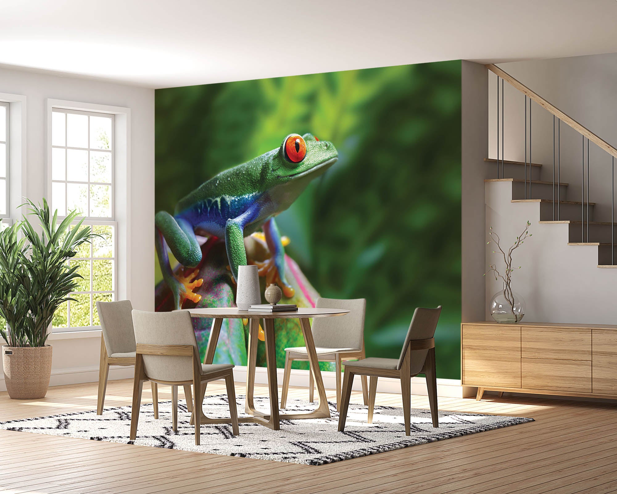 Roodoogmakikker - LW00153 Fotobehang