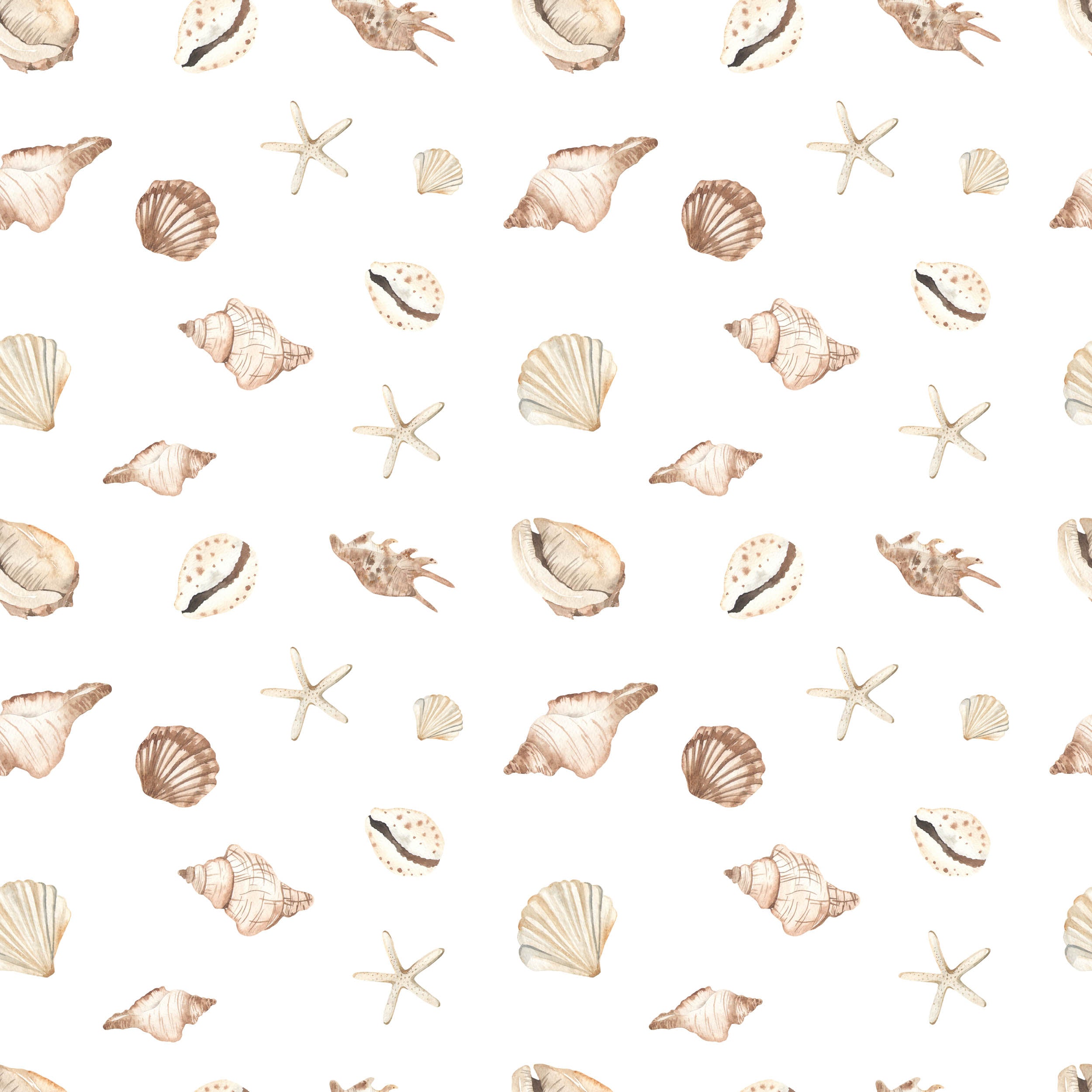 Schelpen & Zeesterren Patroon - LW00710 Fotobehang