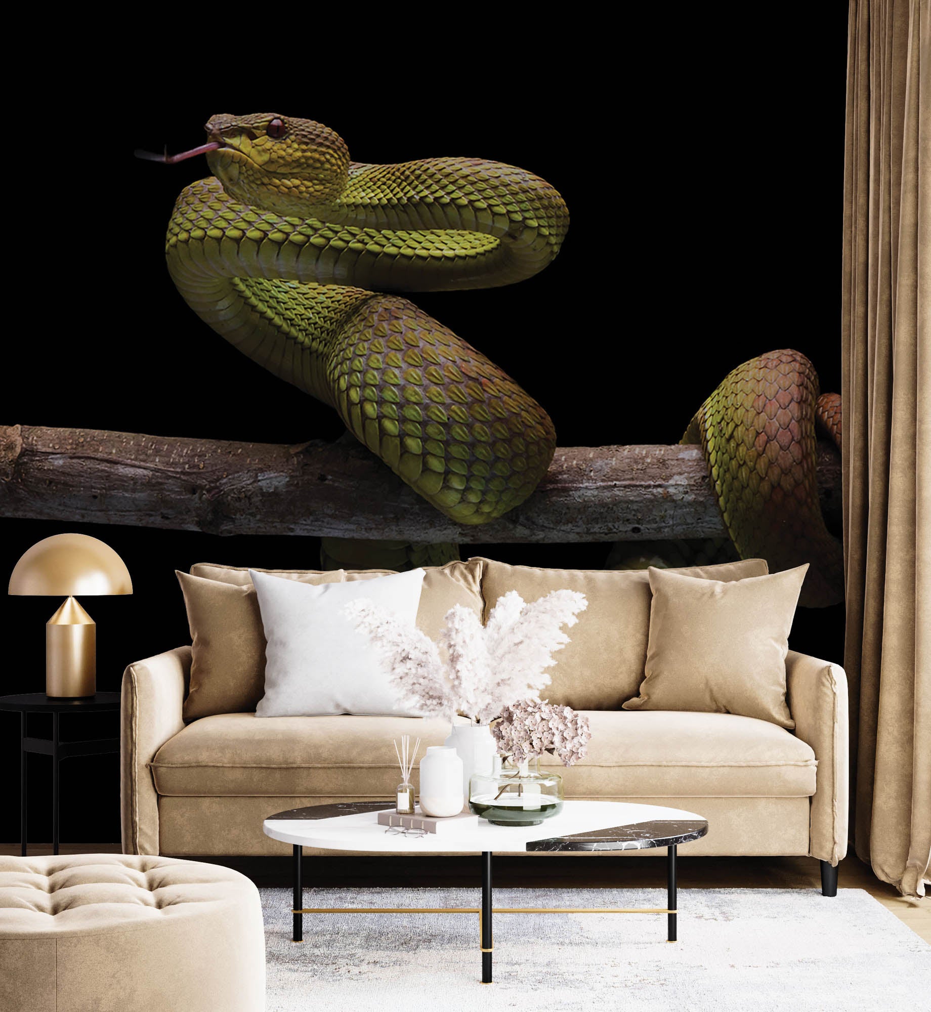 Slang  op tak  - LW00194 Fotobehang