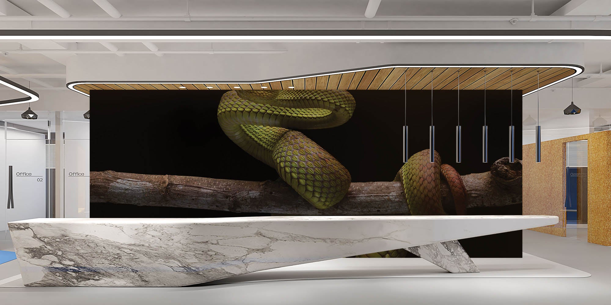 Slang  op tak  - LW00194 Fotobehang