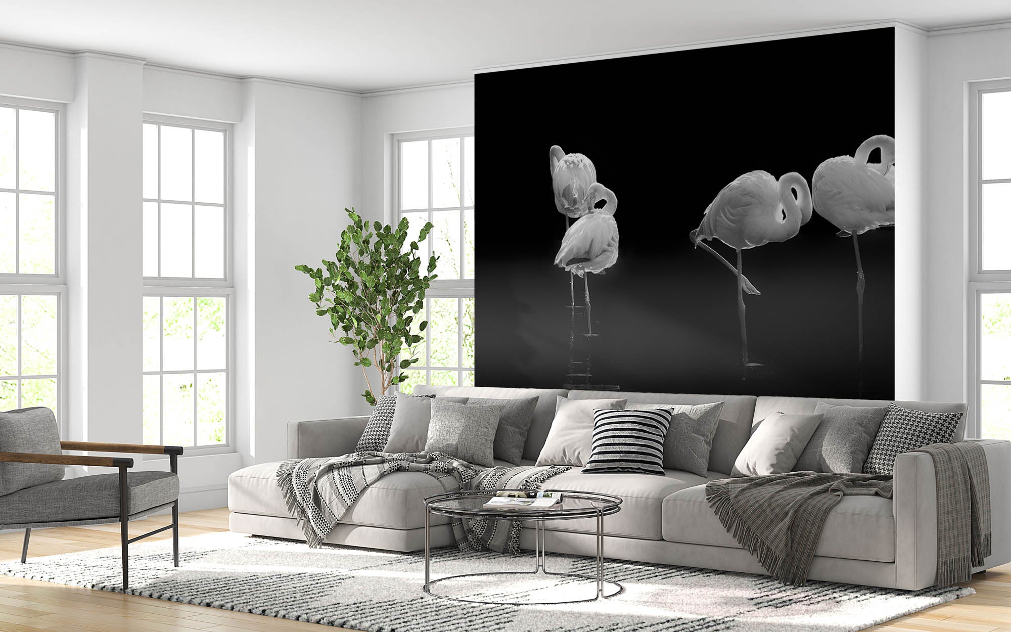 Slapende flamingo's  - LW00241 Fotobehang