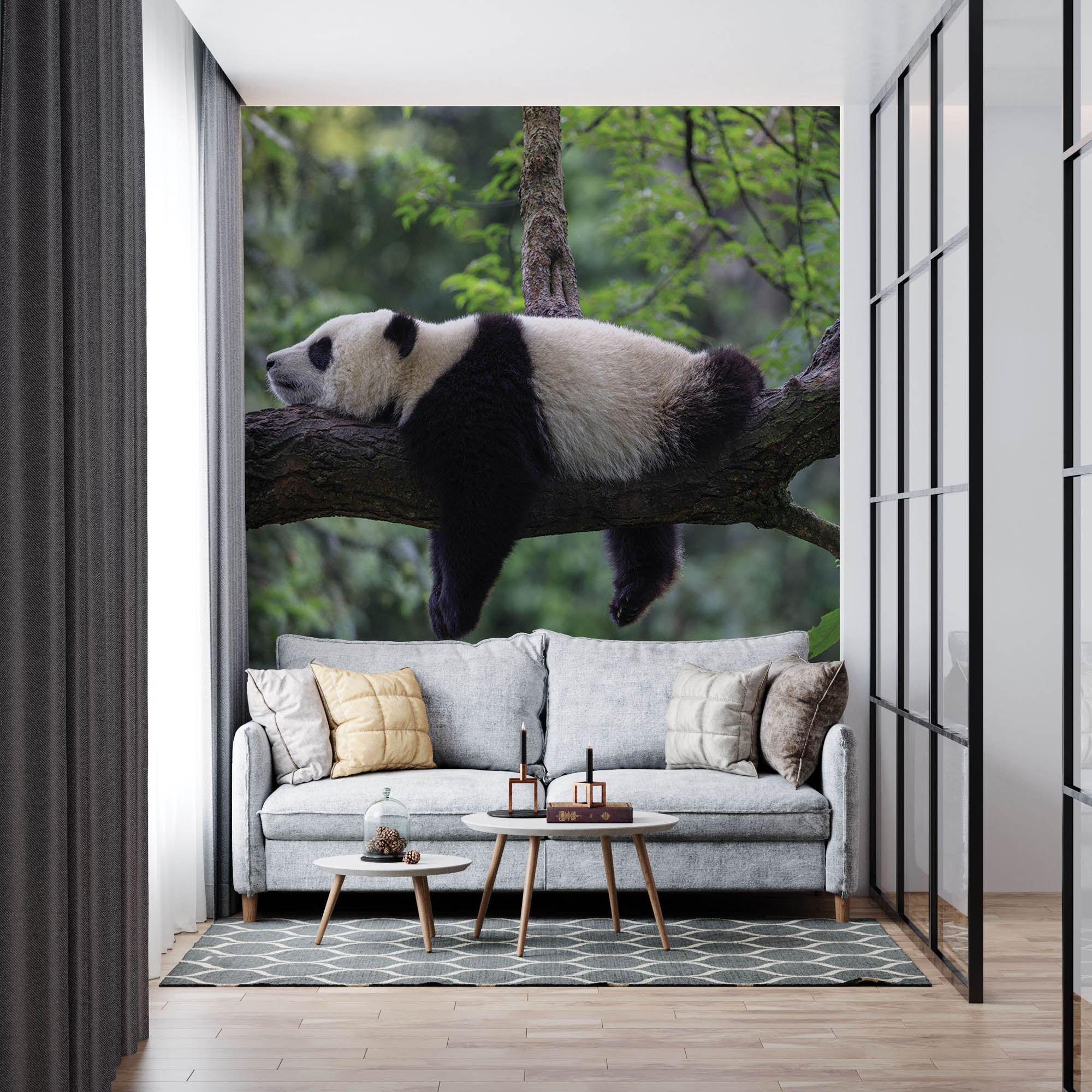 Slapende panda op tak  - LW00182 Fotobehang