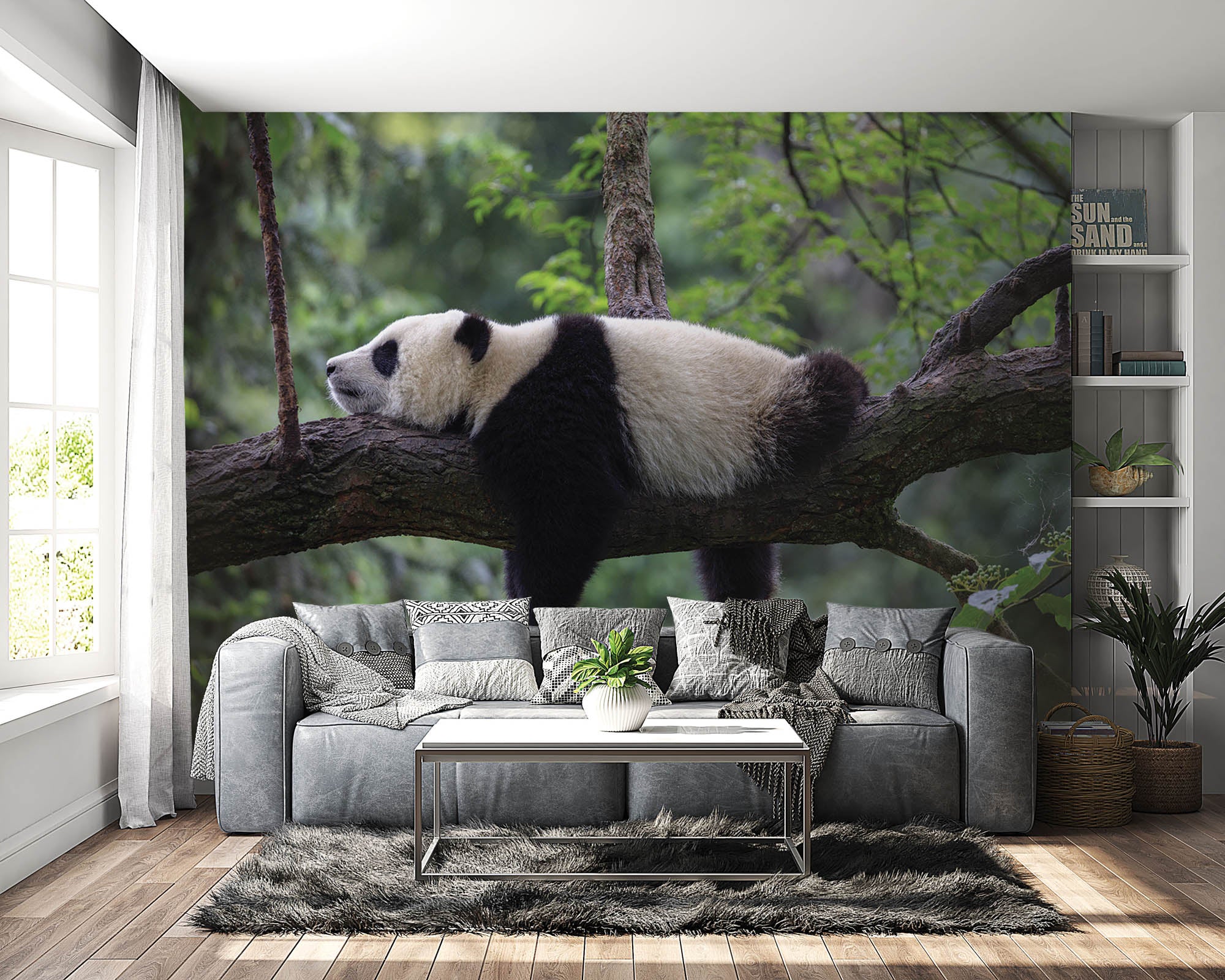 Slapende panda op tak  - LW00182 Fotobehang