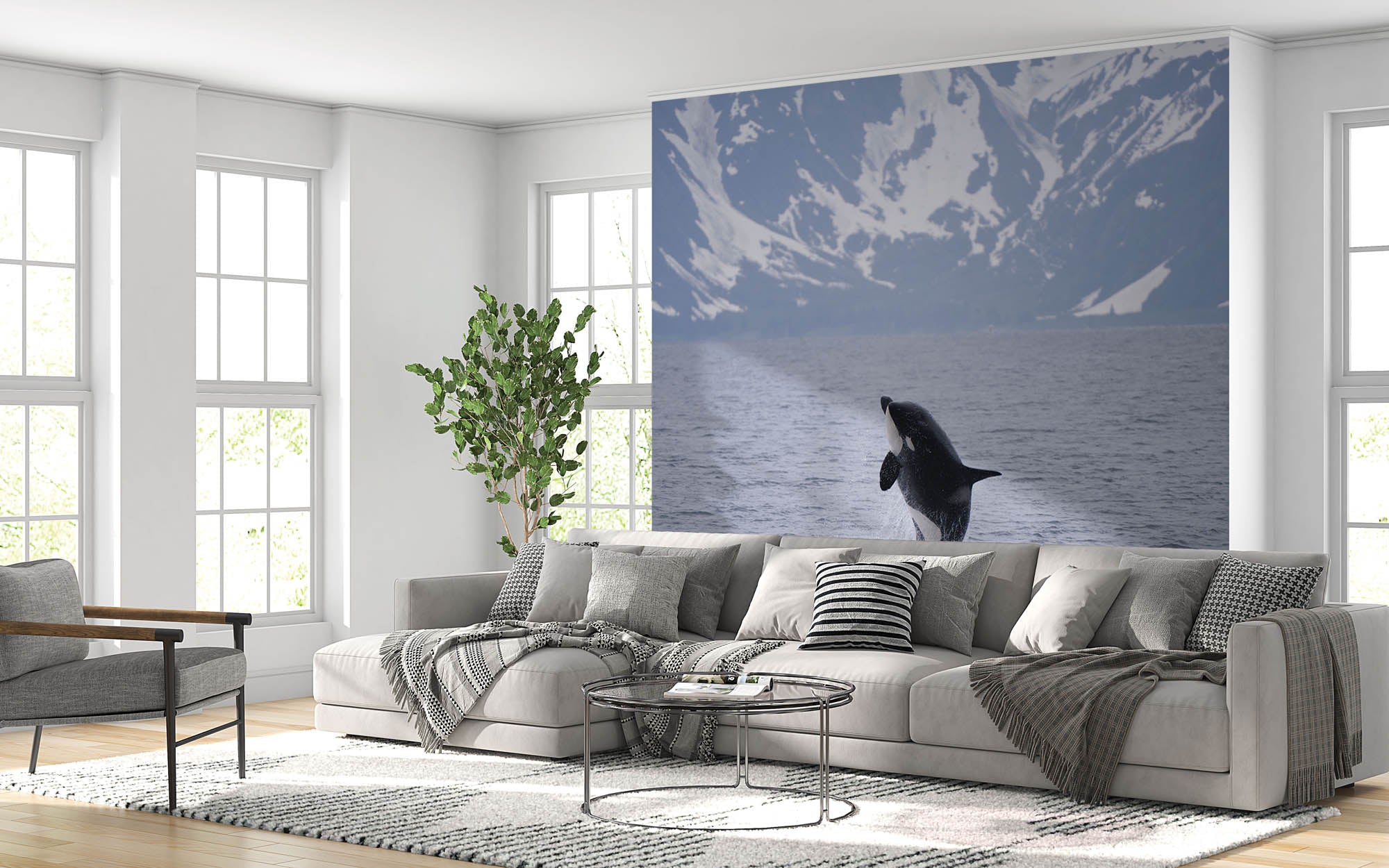 Springende orka  - LW00166 Fotobehang