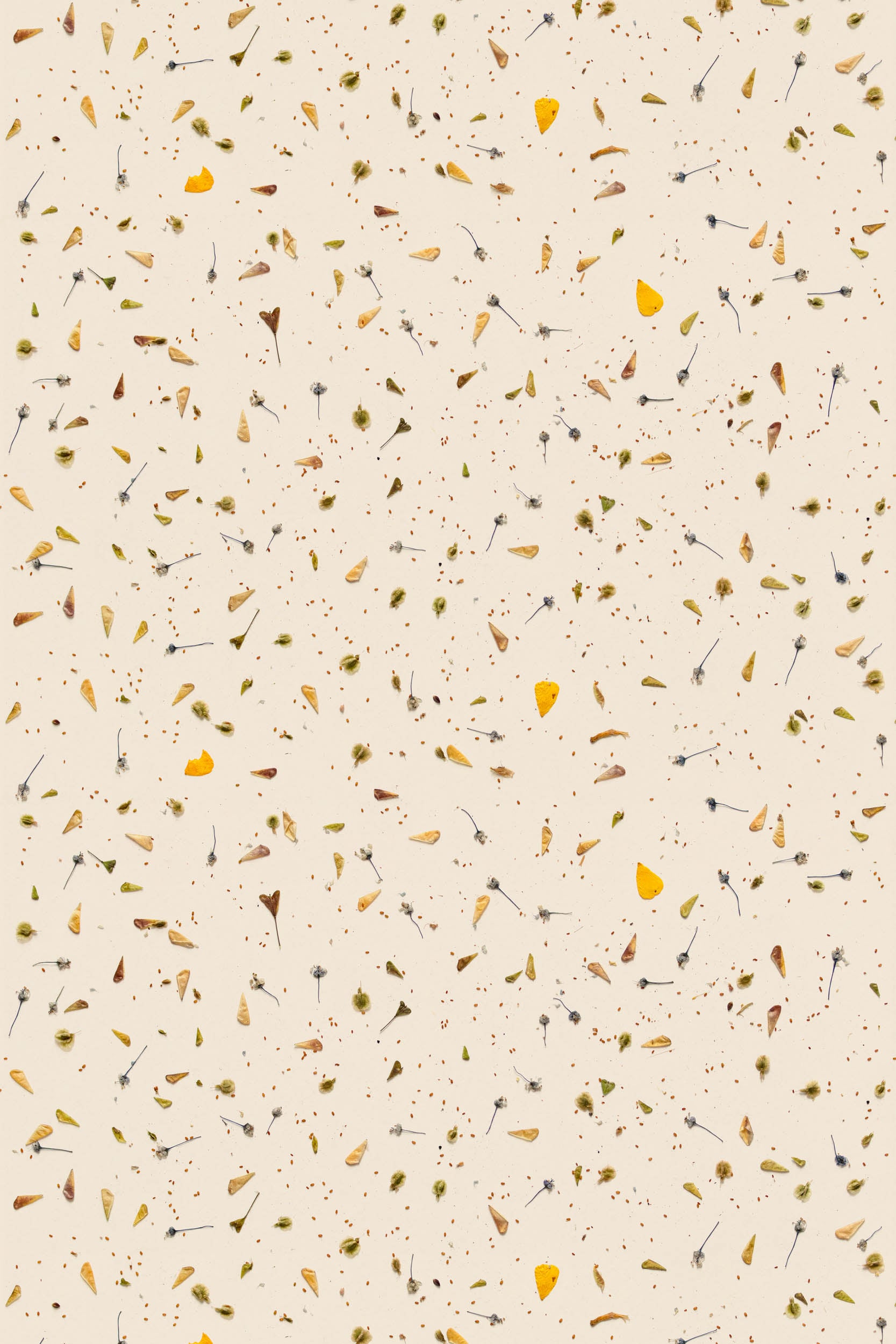 Studio Ditte Bloemen Confetti Geel