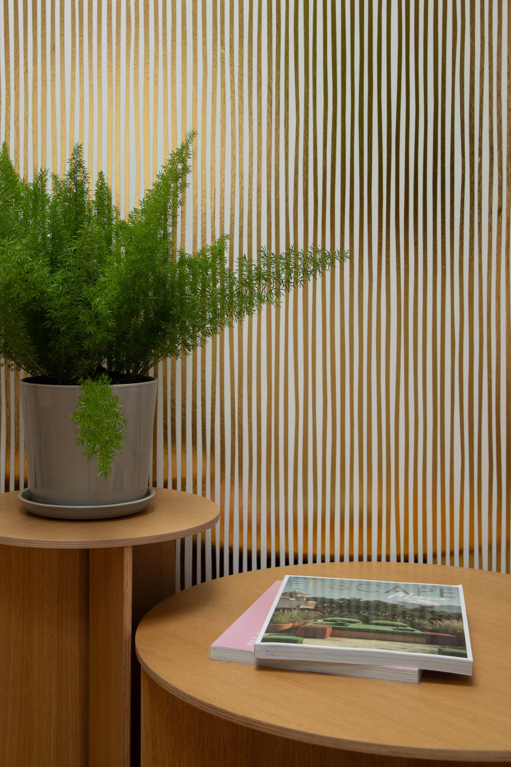 Studio Ditte Strepen Goud Behang