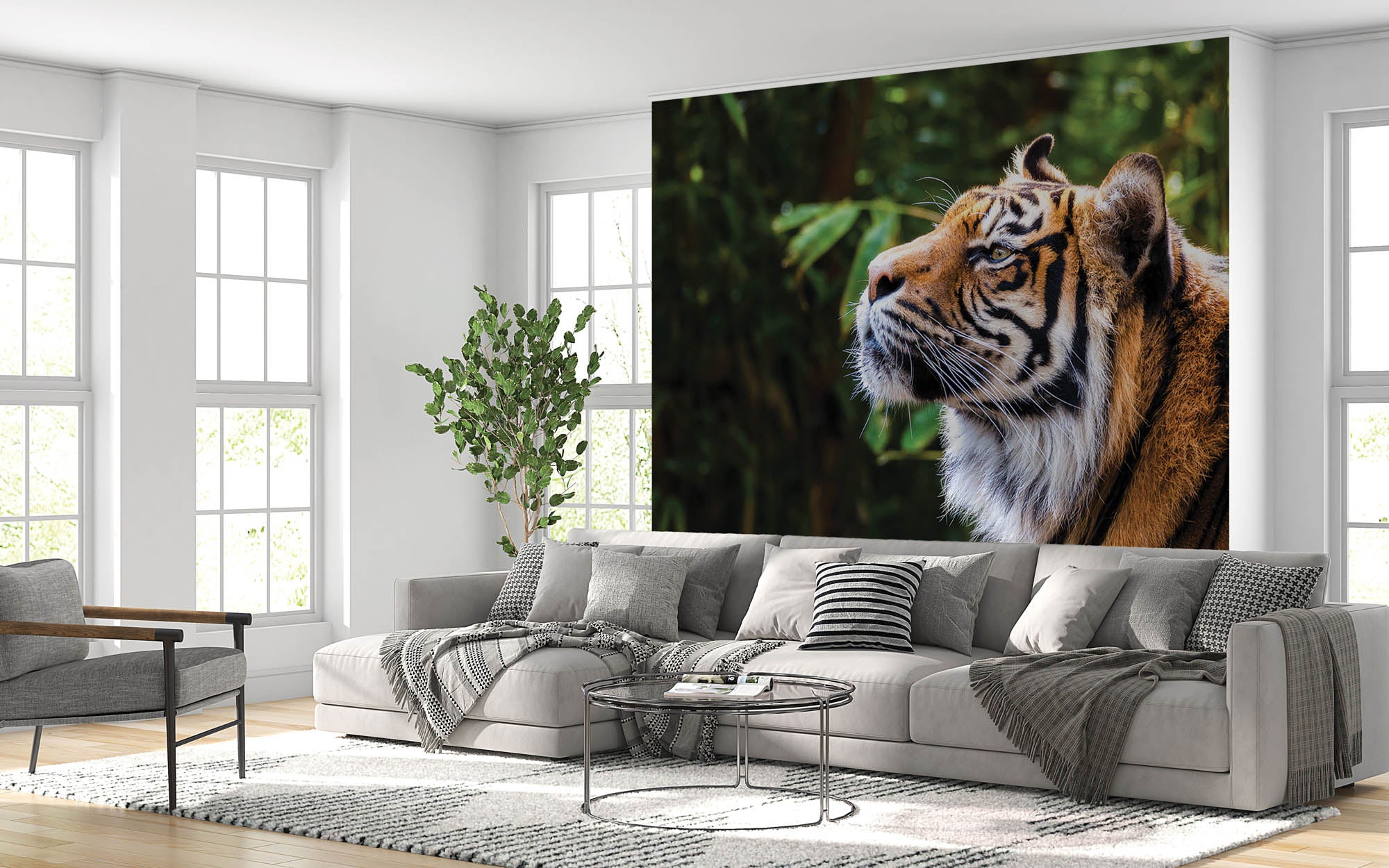 Tijger zijaanzicht kop  - LW00177 Fotobehang