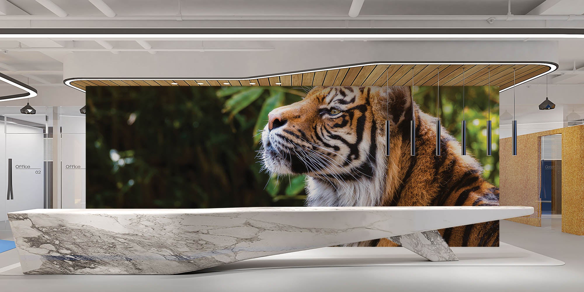 Tijger zijaanzicht kop  - LW00177 Fotobehang