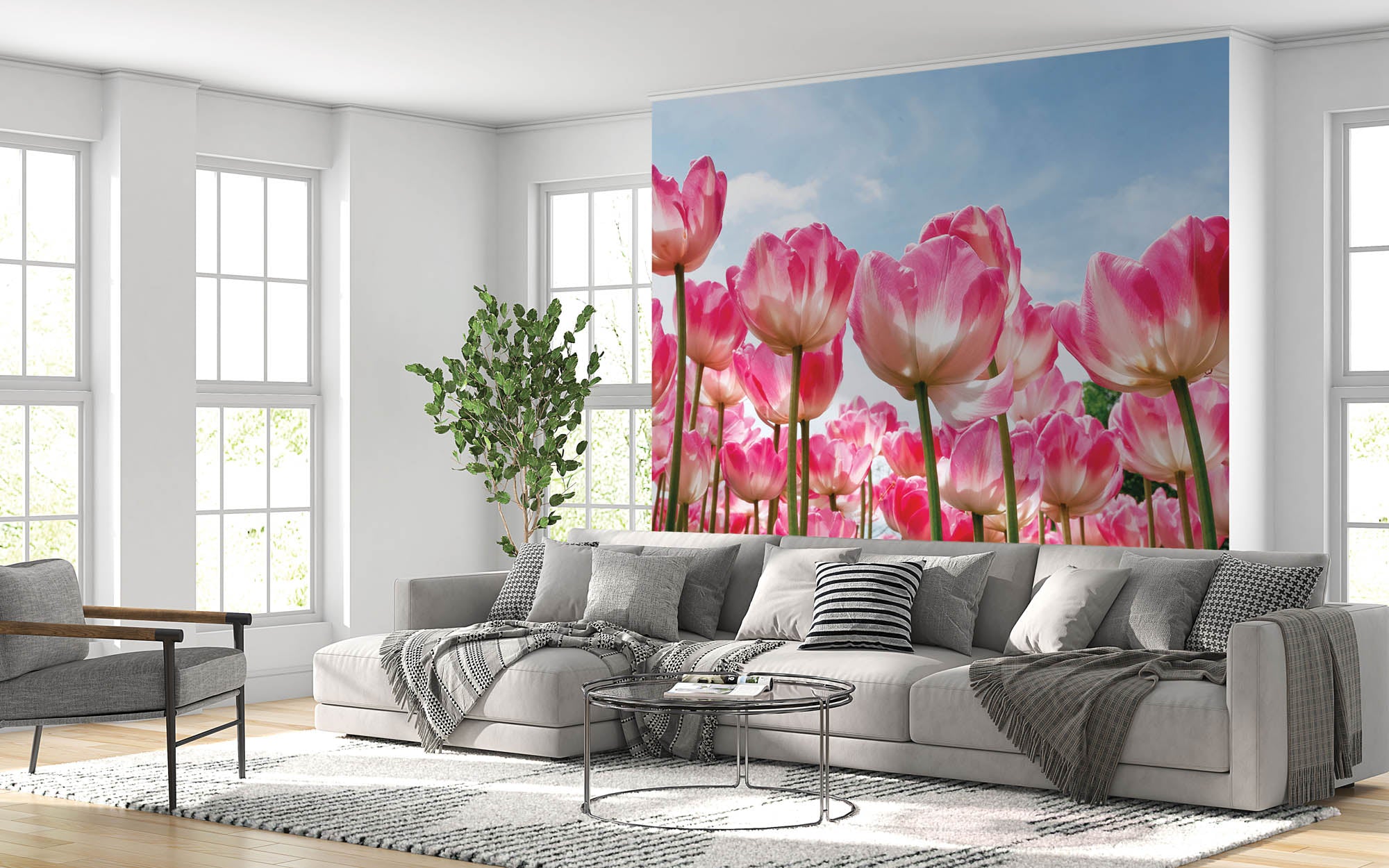 Tulpenveld  - LW00252 Fotobehang