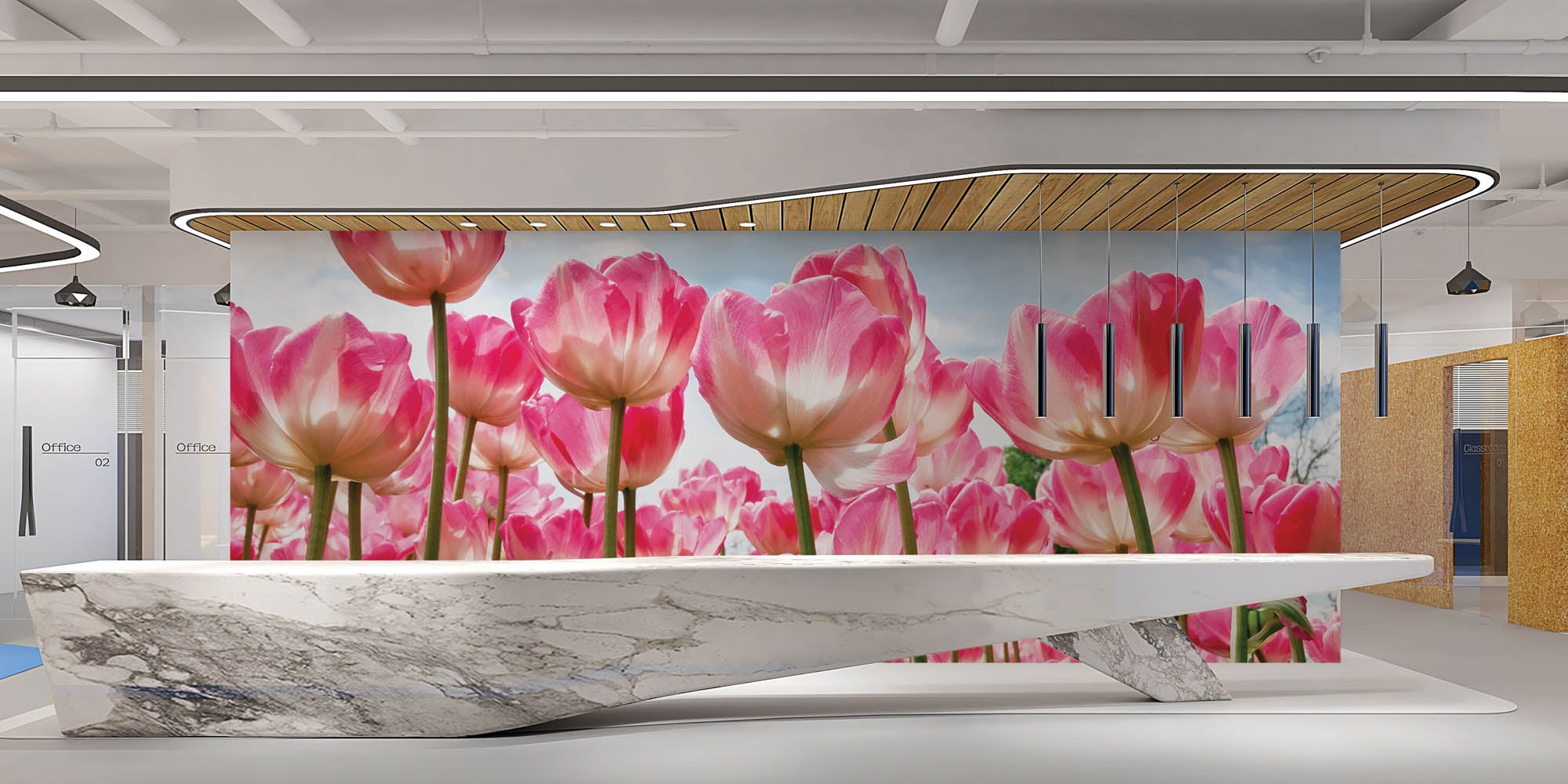 Tulpenveld  - LW00252 Fotobehang