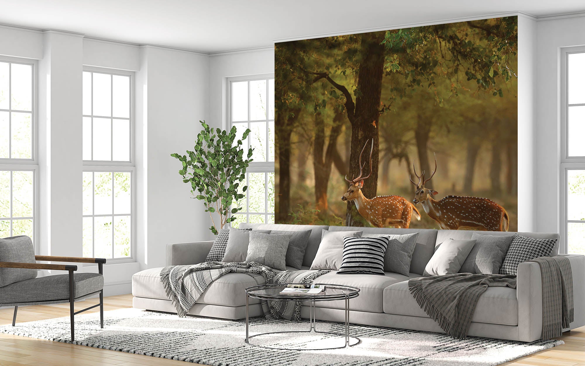 Twee herten in natuurlijke omgeving  - LW00187 Fotobehang