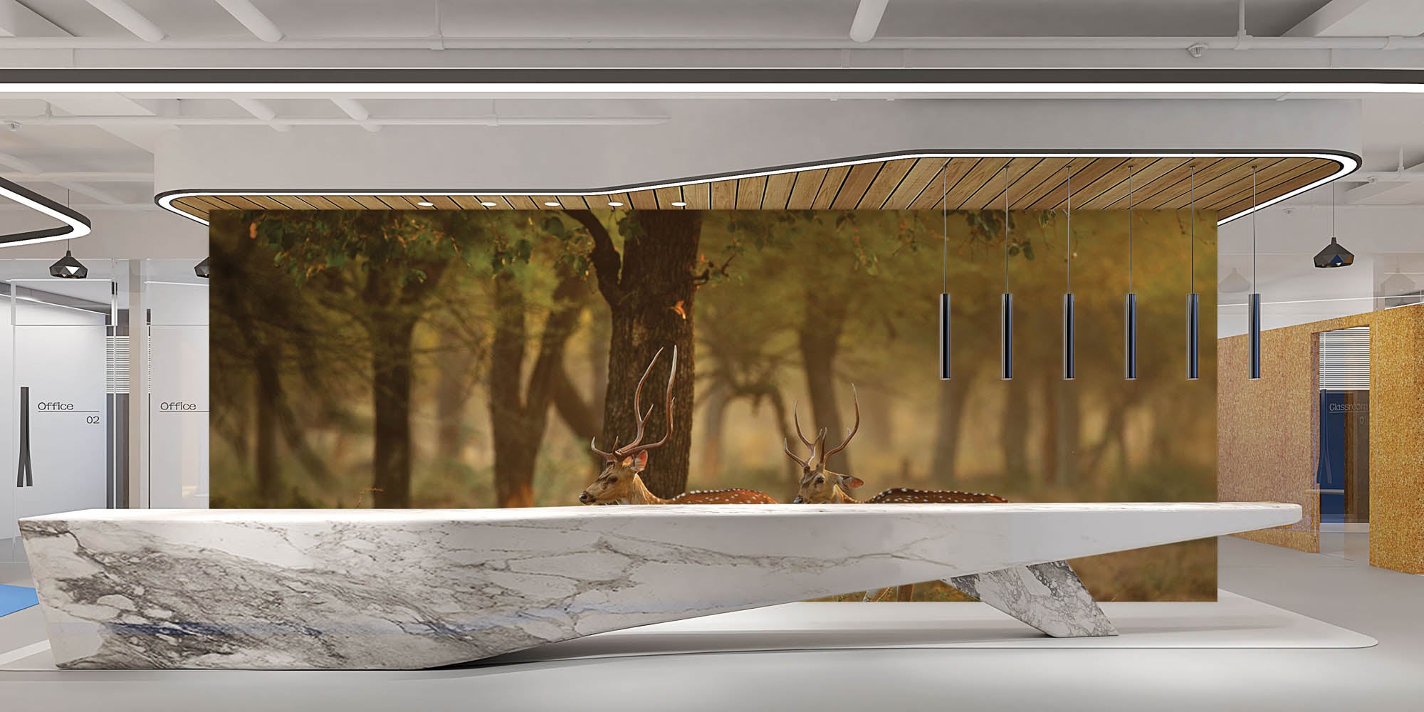 Twee herten in natuurlijke omgeving  - LW00187 Fotobehang