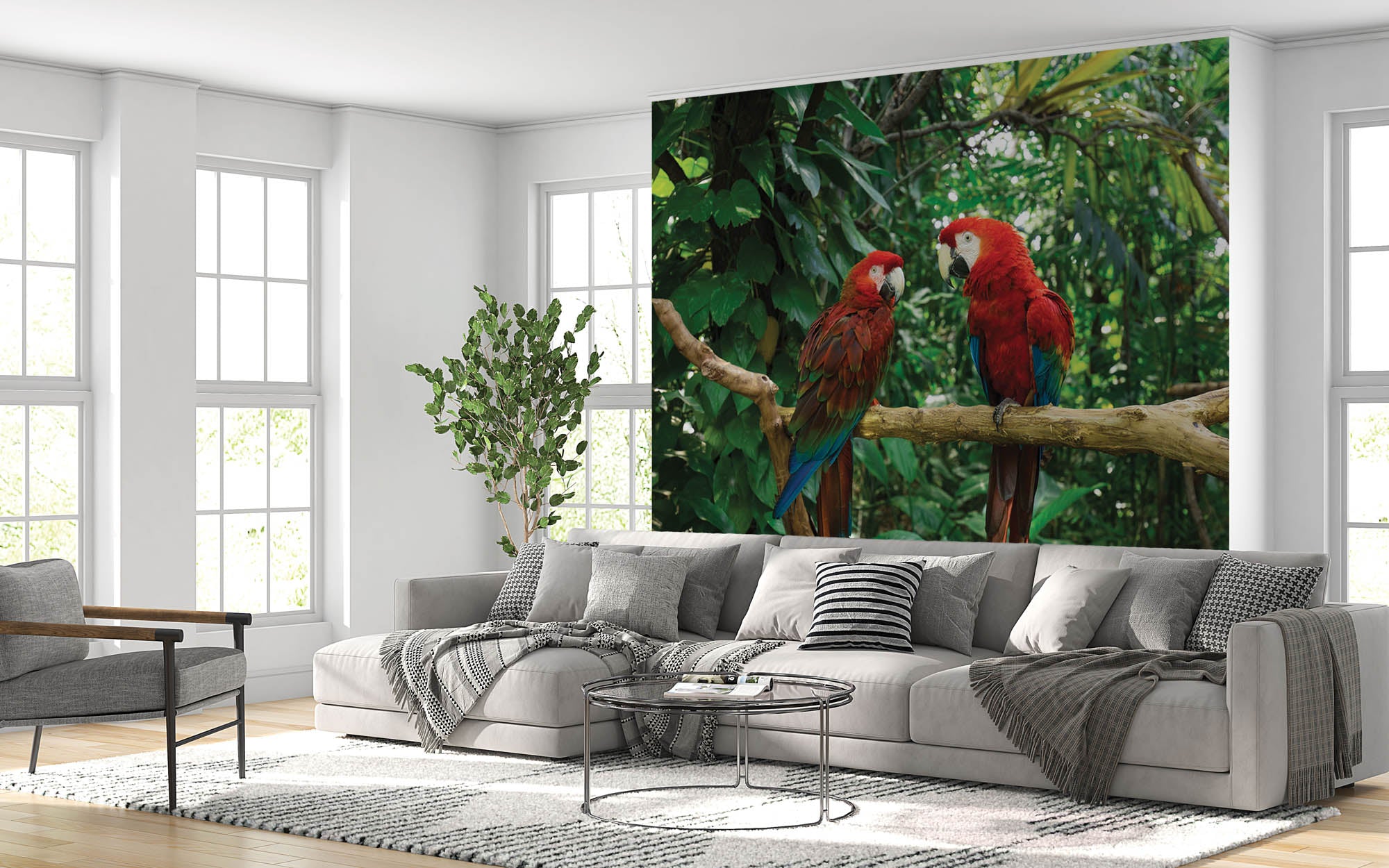 Twee papegaaien op tak   - LW00174 Fotobehang