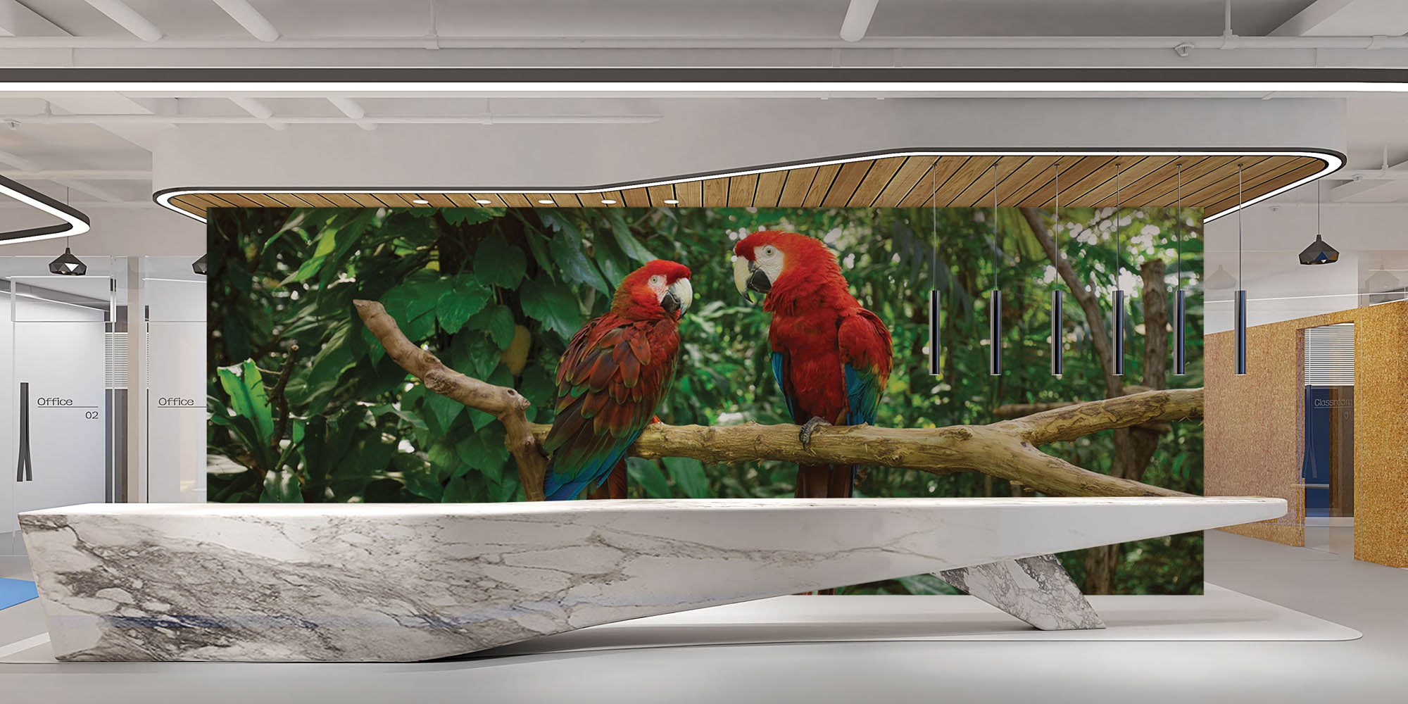 Twee papegaaien op tak   - LW00174 Fotobehang