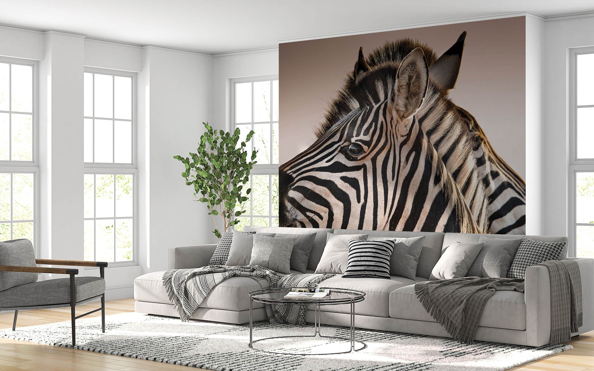 Twee zebra's met hoofden bij elkaar  - LW00195 Fotobehang