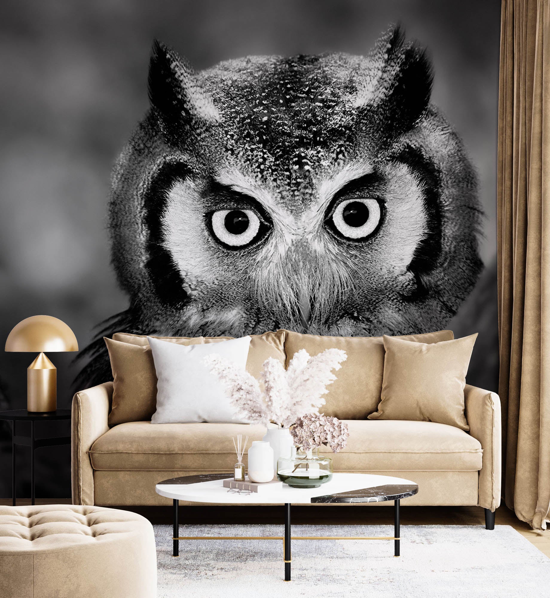 Uil in close-up  - LW00205 Fotobehang